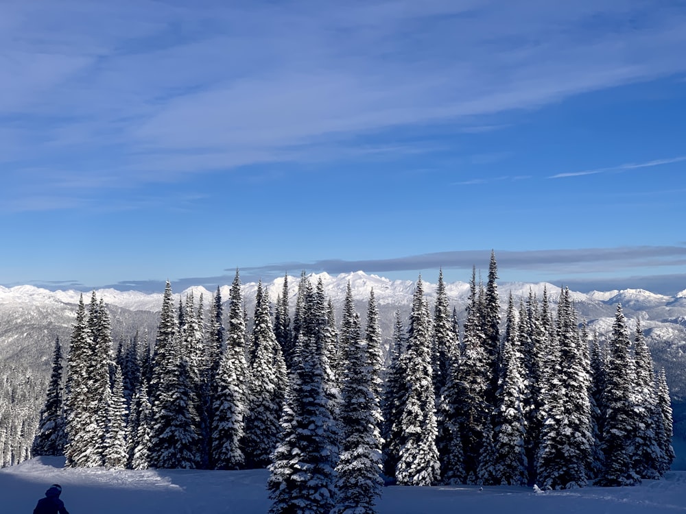 a person standing on a snow covered ski slope