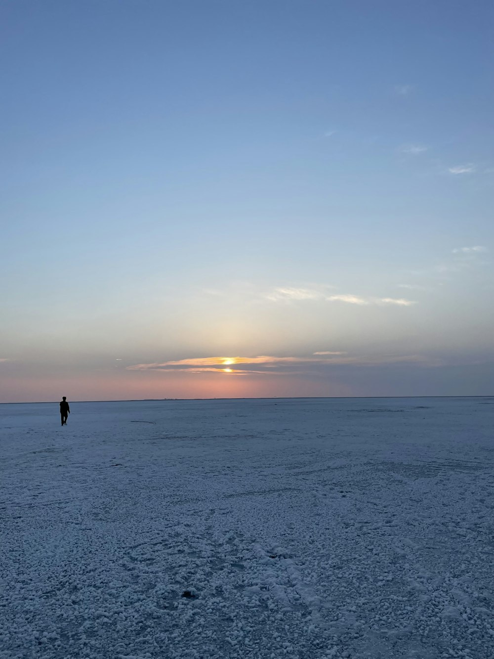 a person standing in the middle of a field