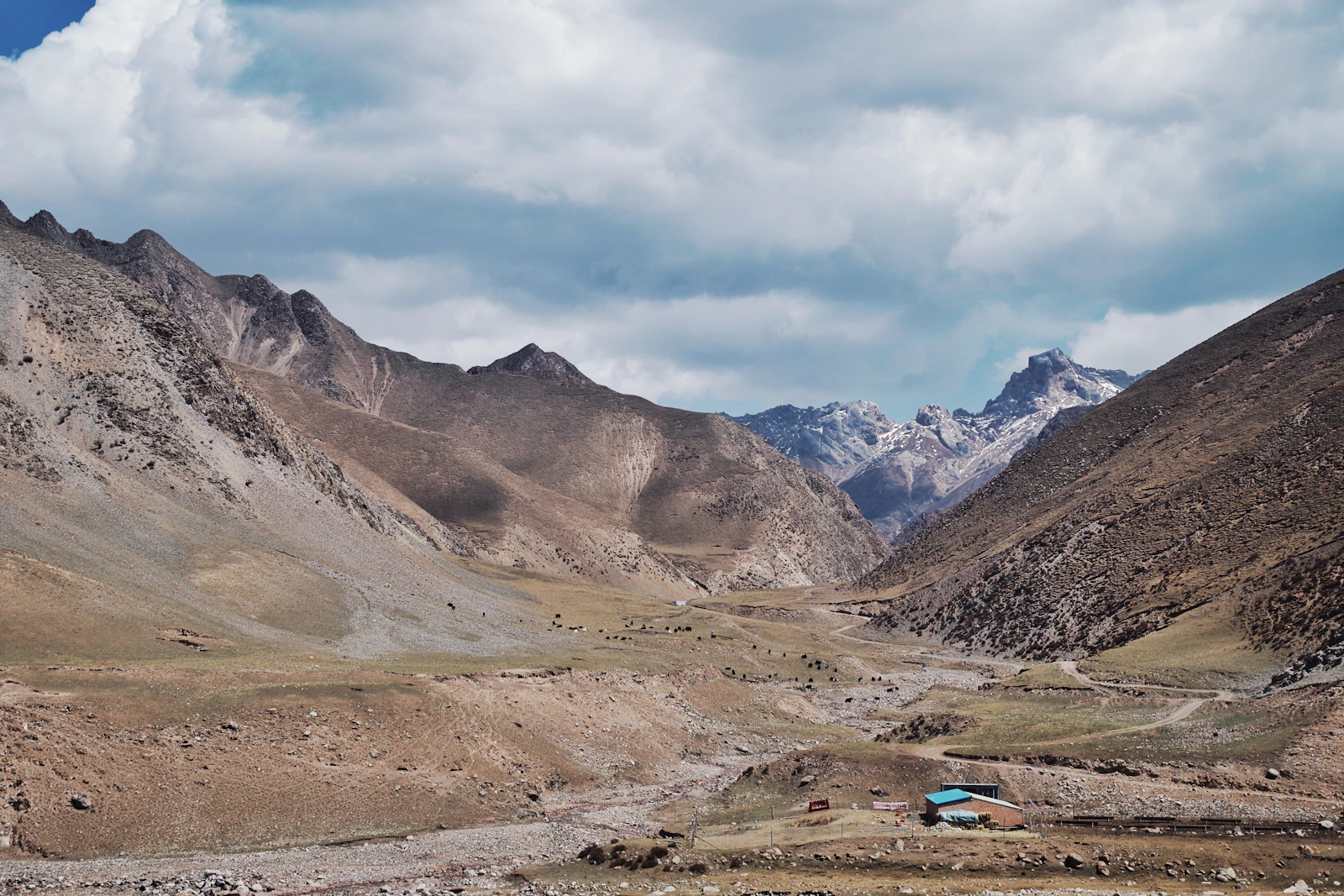Miyar Valley "Yosemite of India" Wilderness Trek - 5N / 6D with cravel.in