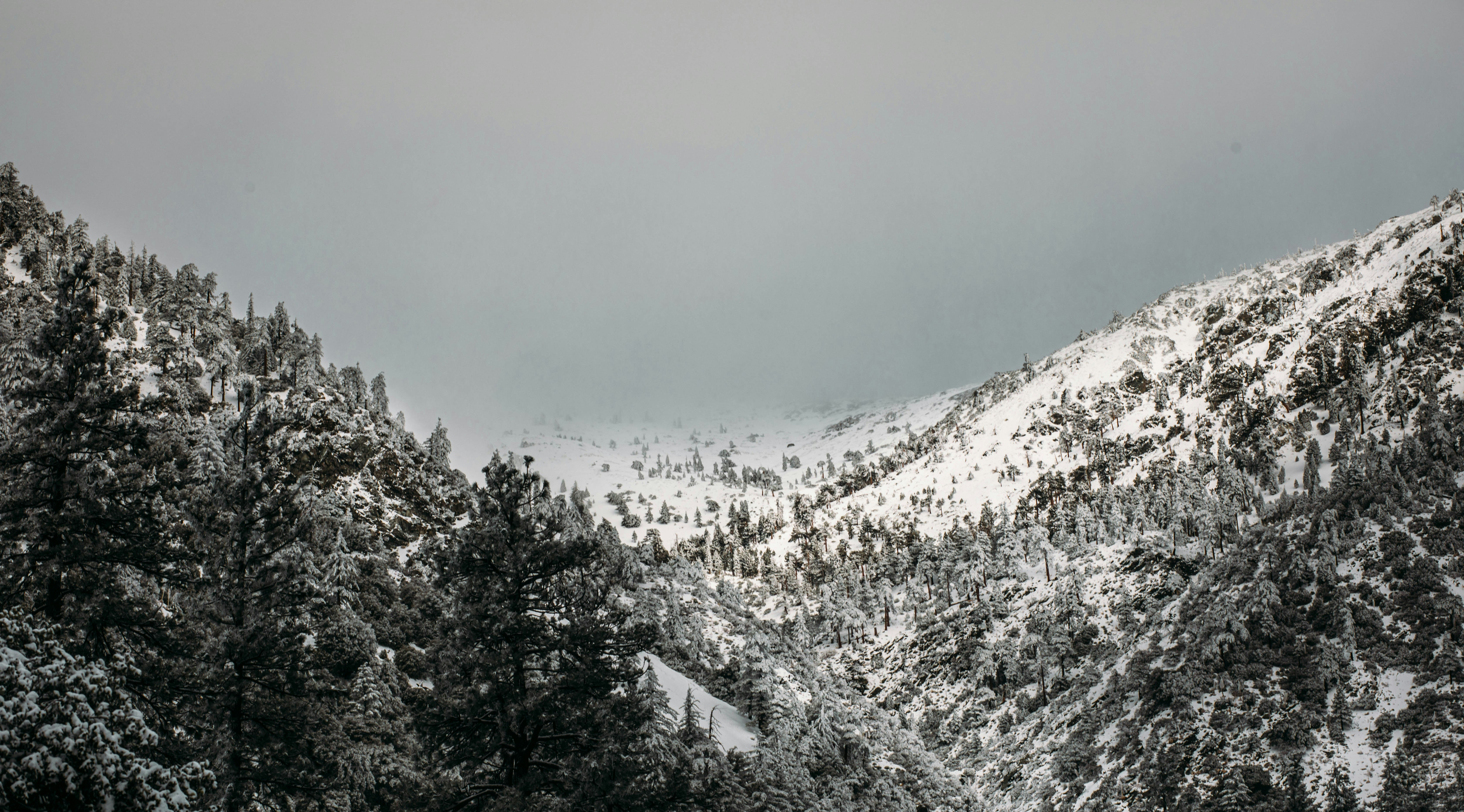 Glacier Trekking: A Guide to Safe Navigation