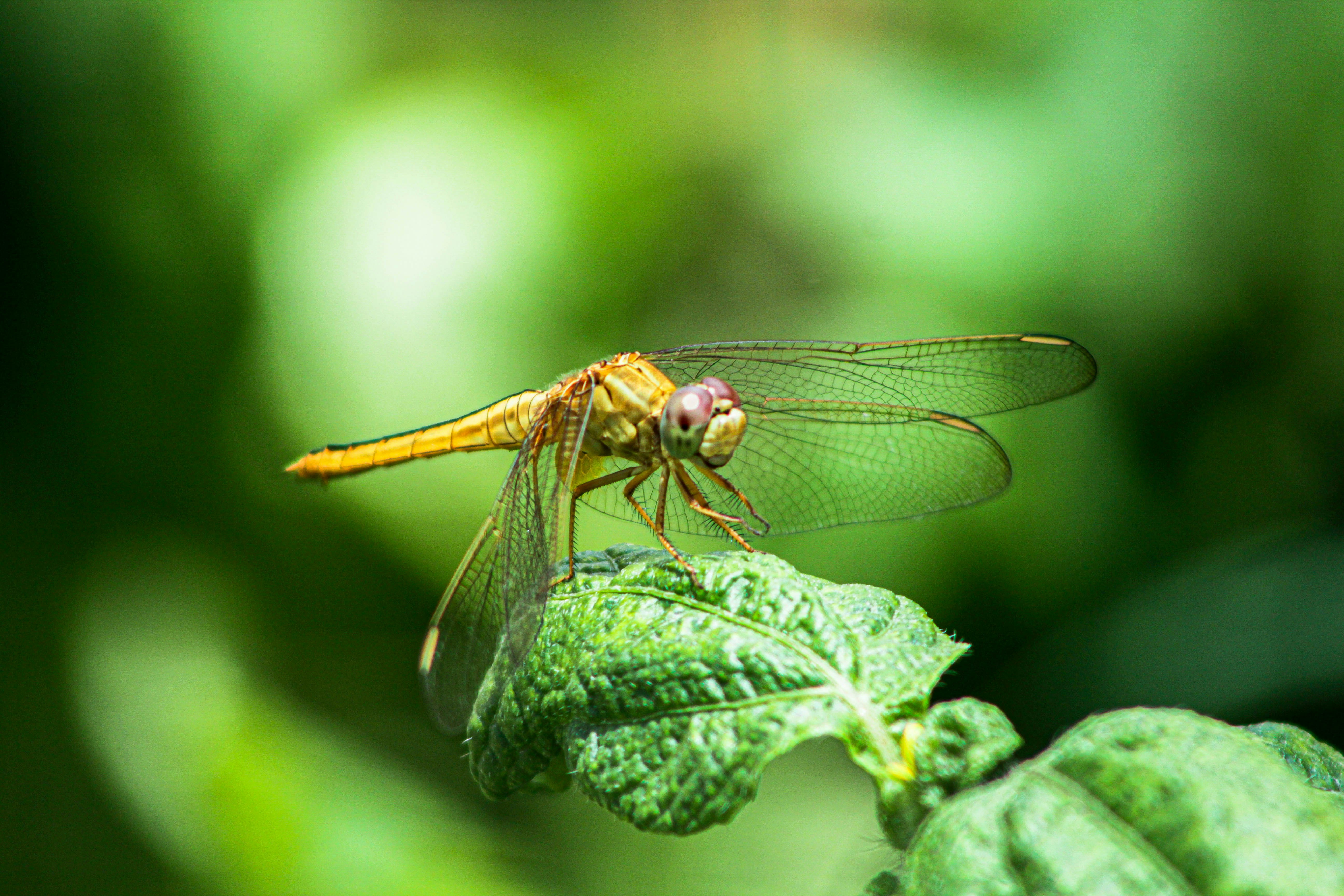 Photo by omerkhan1990