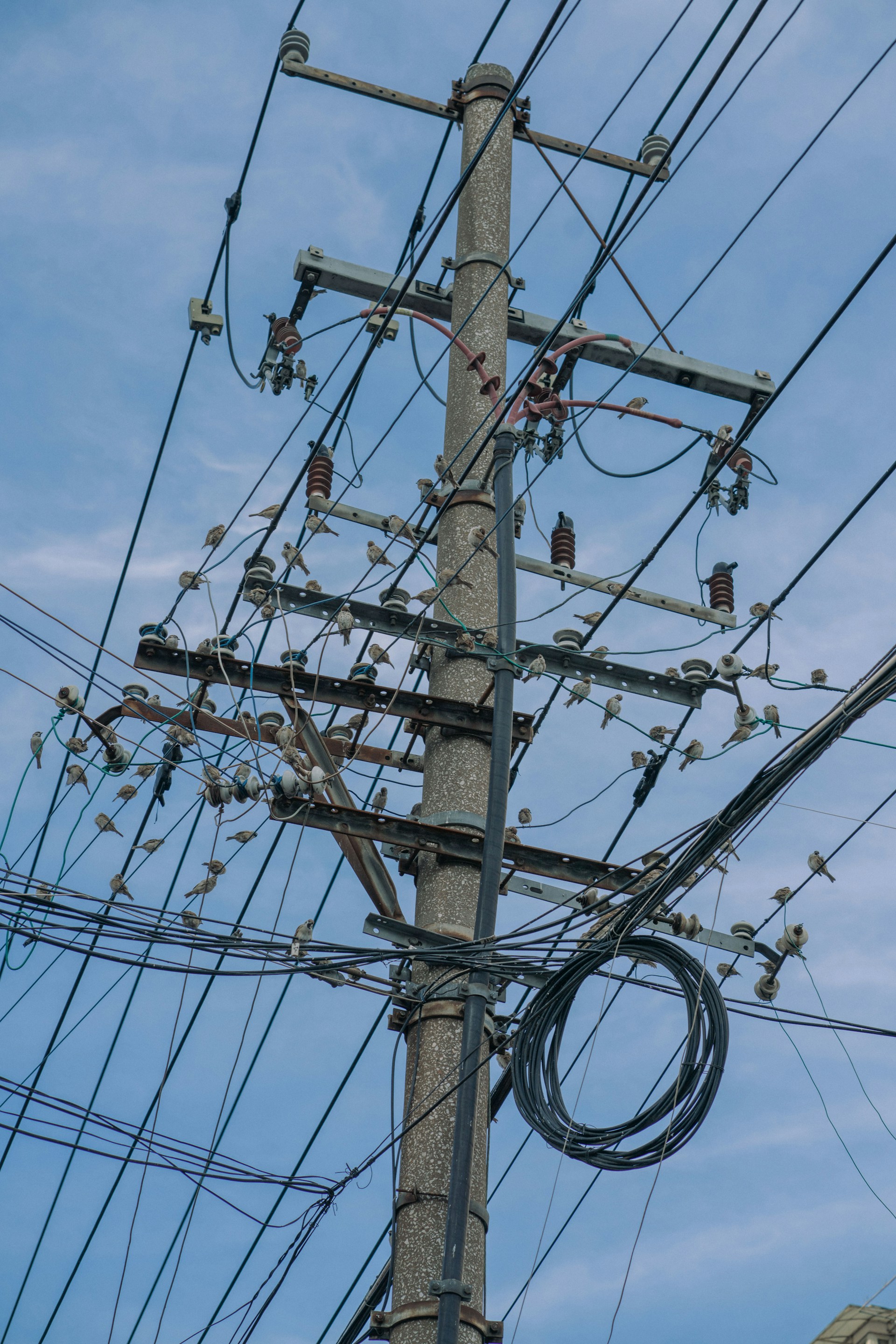 a telephone pole with a bunch of wires attached to it