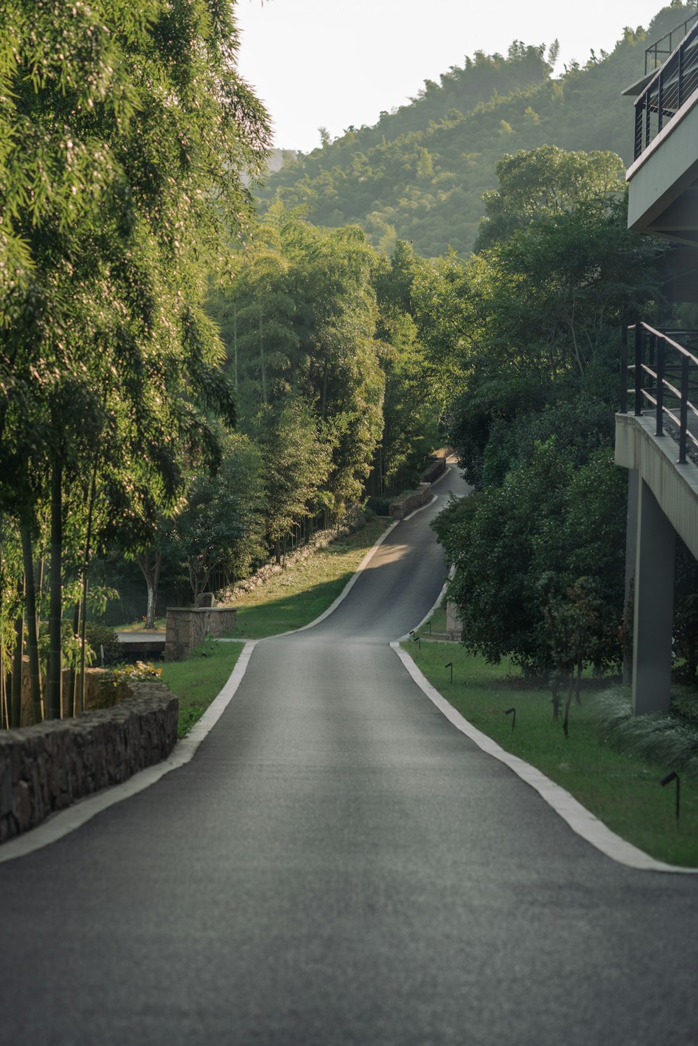 an empty street in the middle of a forested area