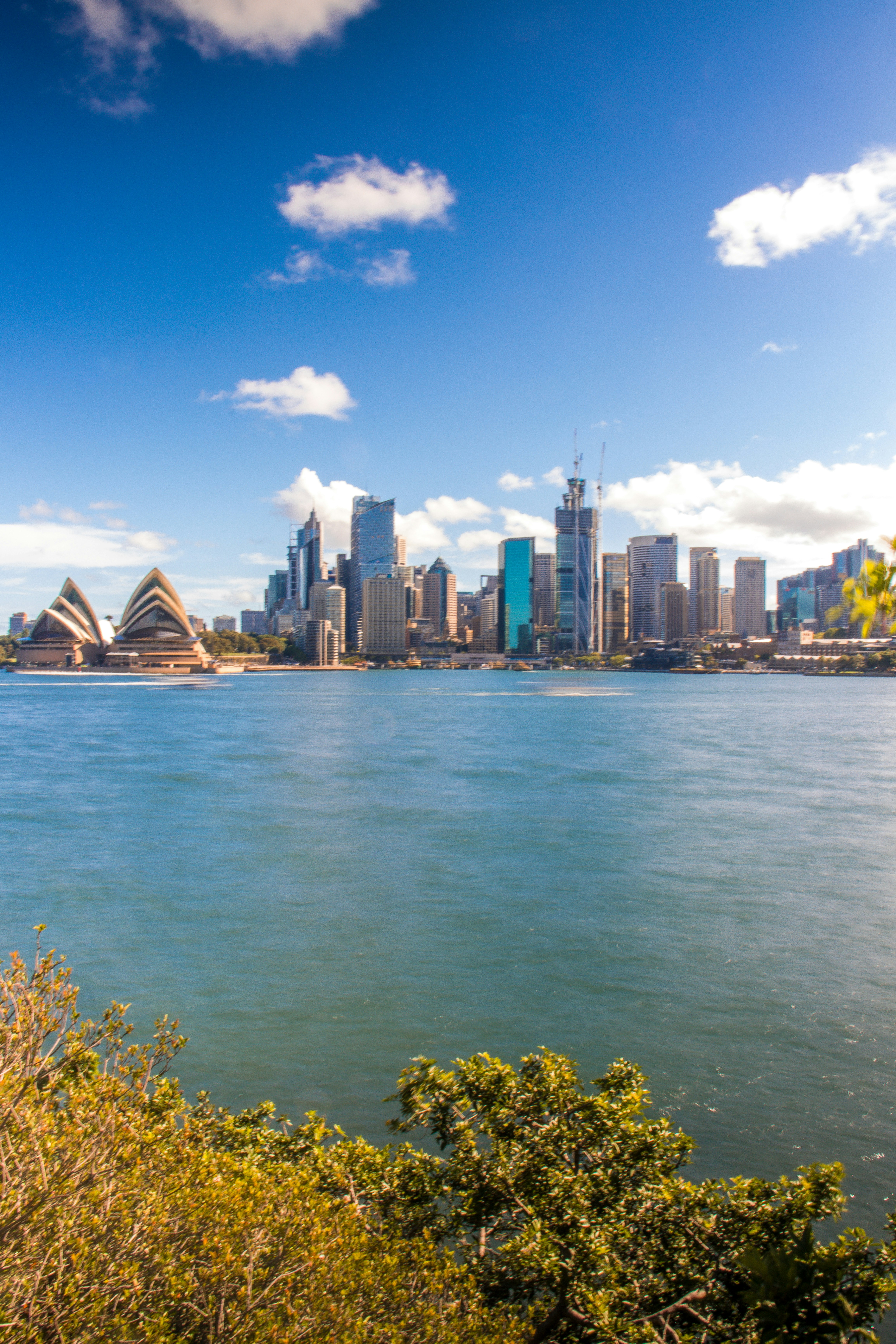 Photo by dynamite_luke