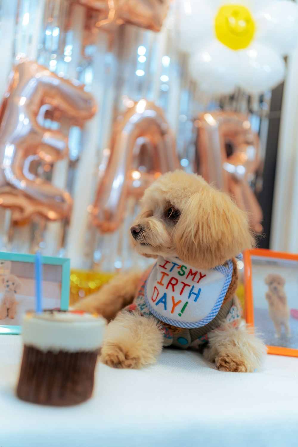 a small dog wearing a bib sitting next to a cupcake