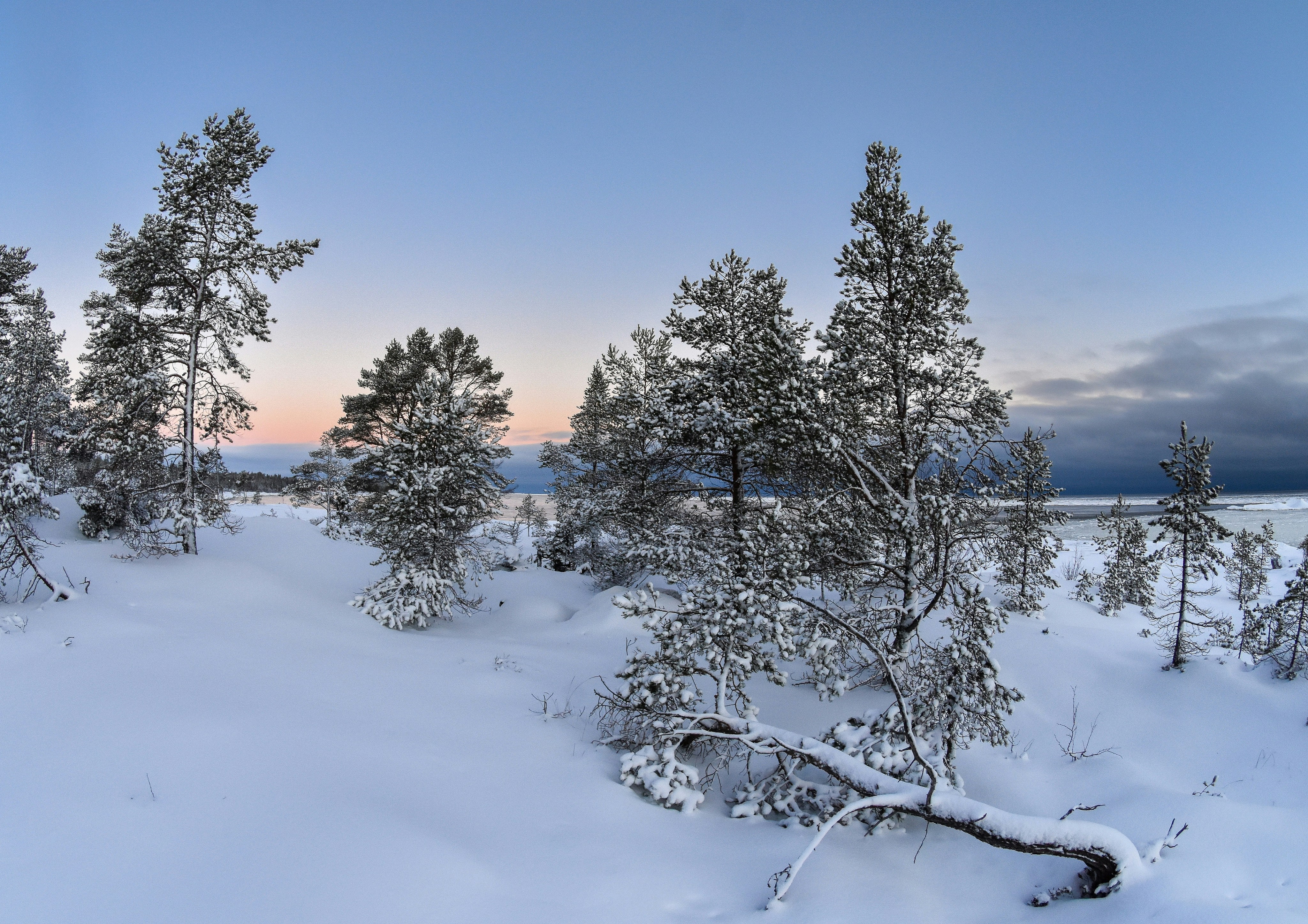 Photo by niklasjonasson