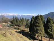 a view of a mountain range from a hill