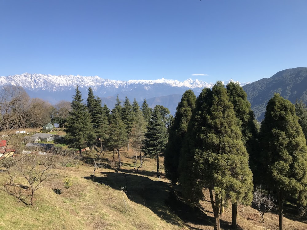 a view of a mountain range from a hill