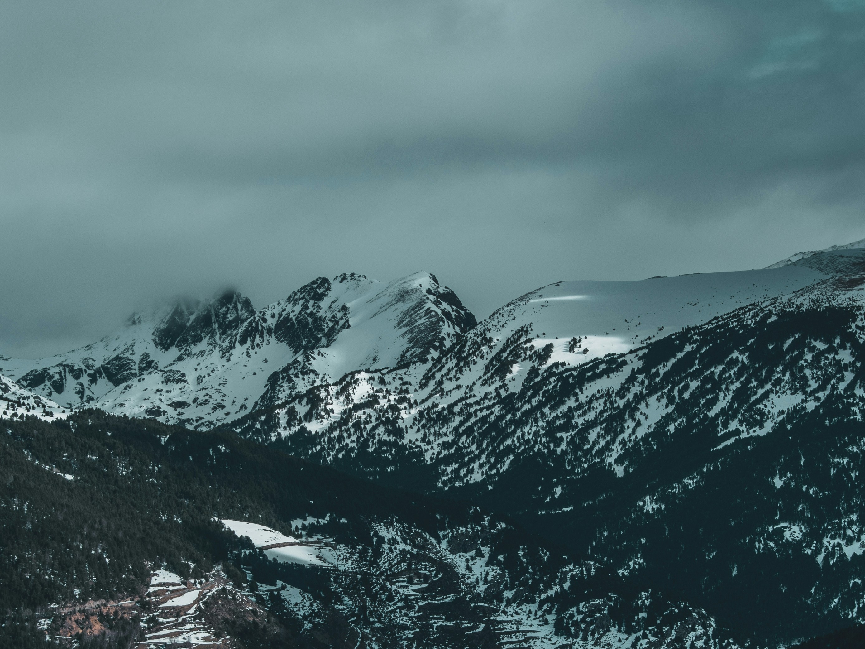 Photo by martisierraa