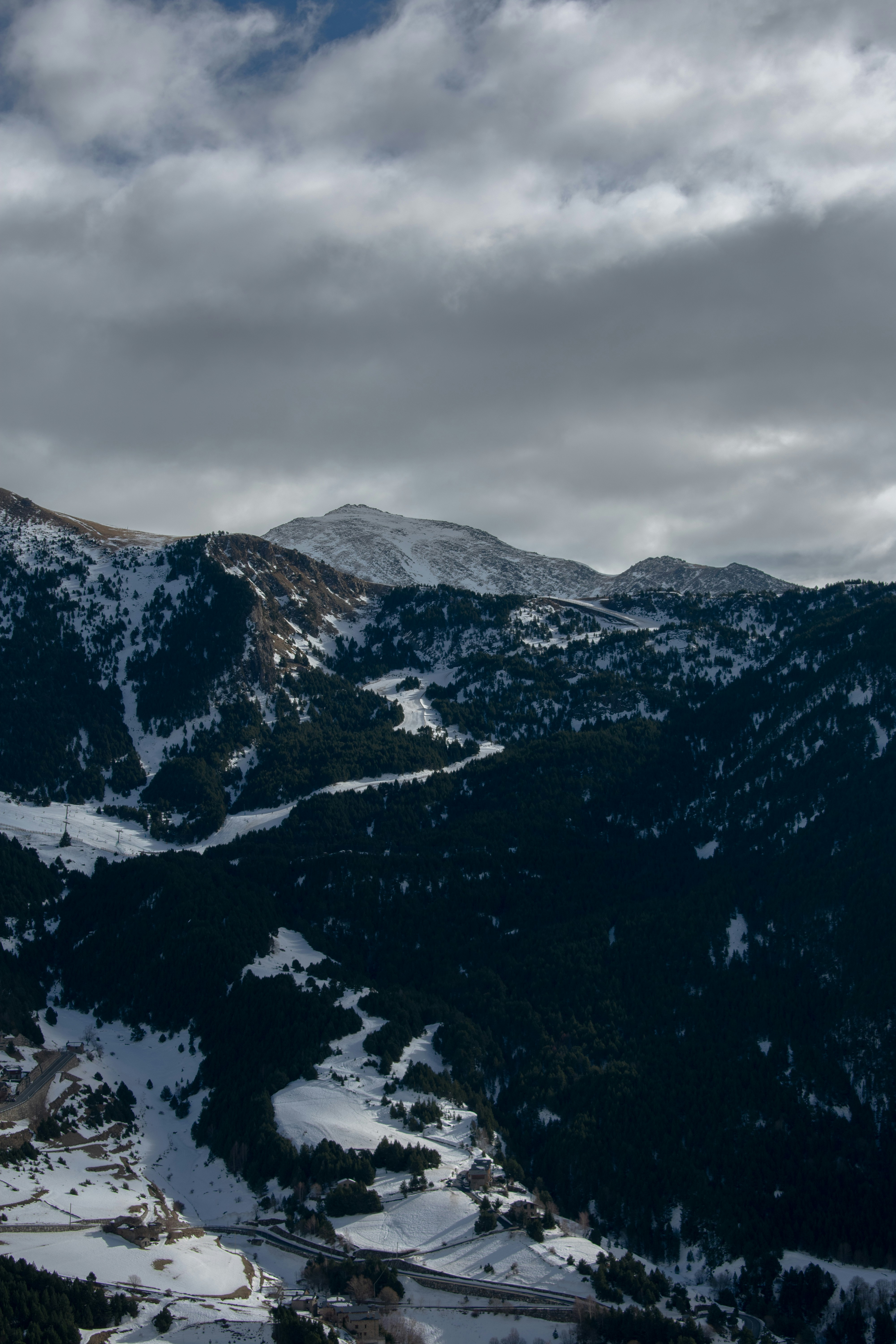 Photo by martisierraa