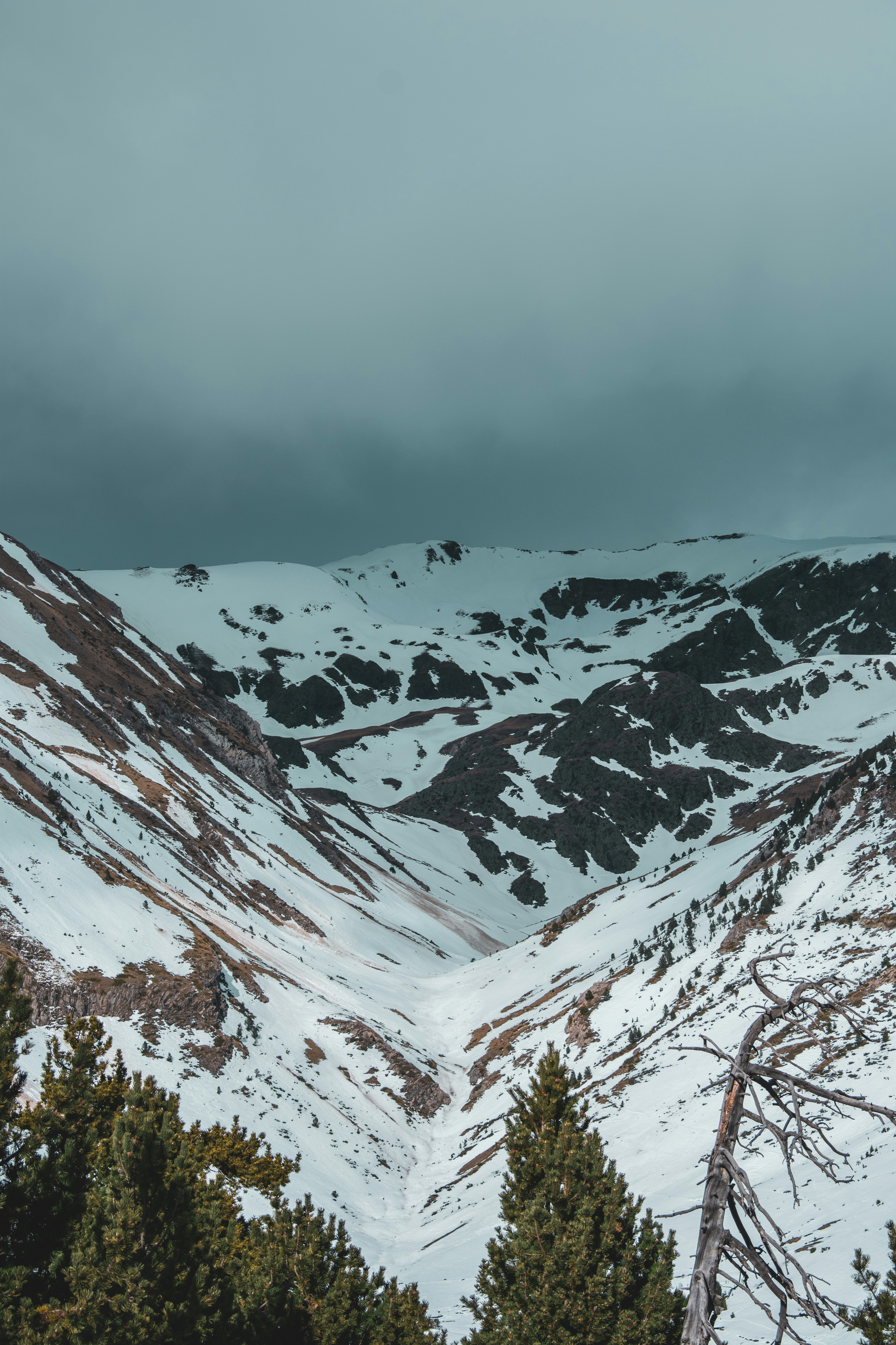 Photo by martisierraa