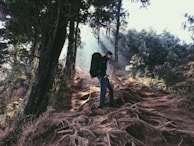 Annette hiking a forest trail, backpack on, sunlight filtering through the trees.