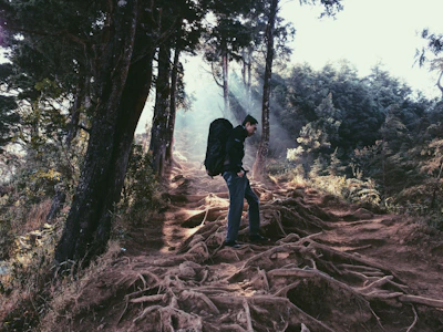 A rugged hiking backpack set against a forest trail with sunlight filtering through the trees.