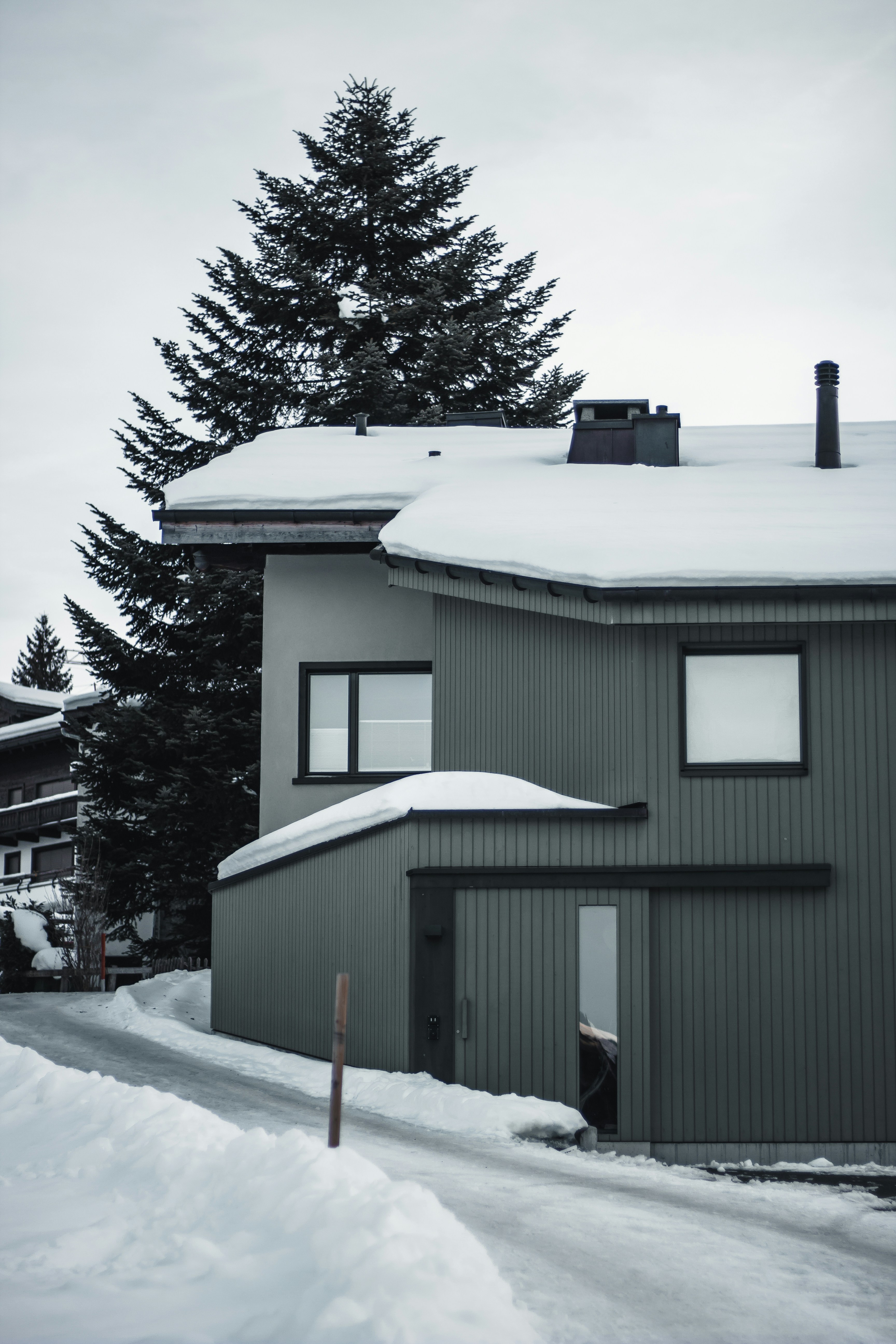 Photo by iaracorreia15