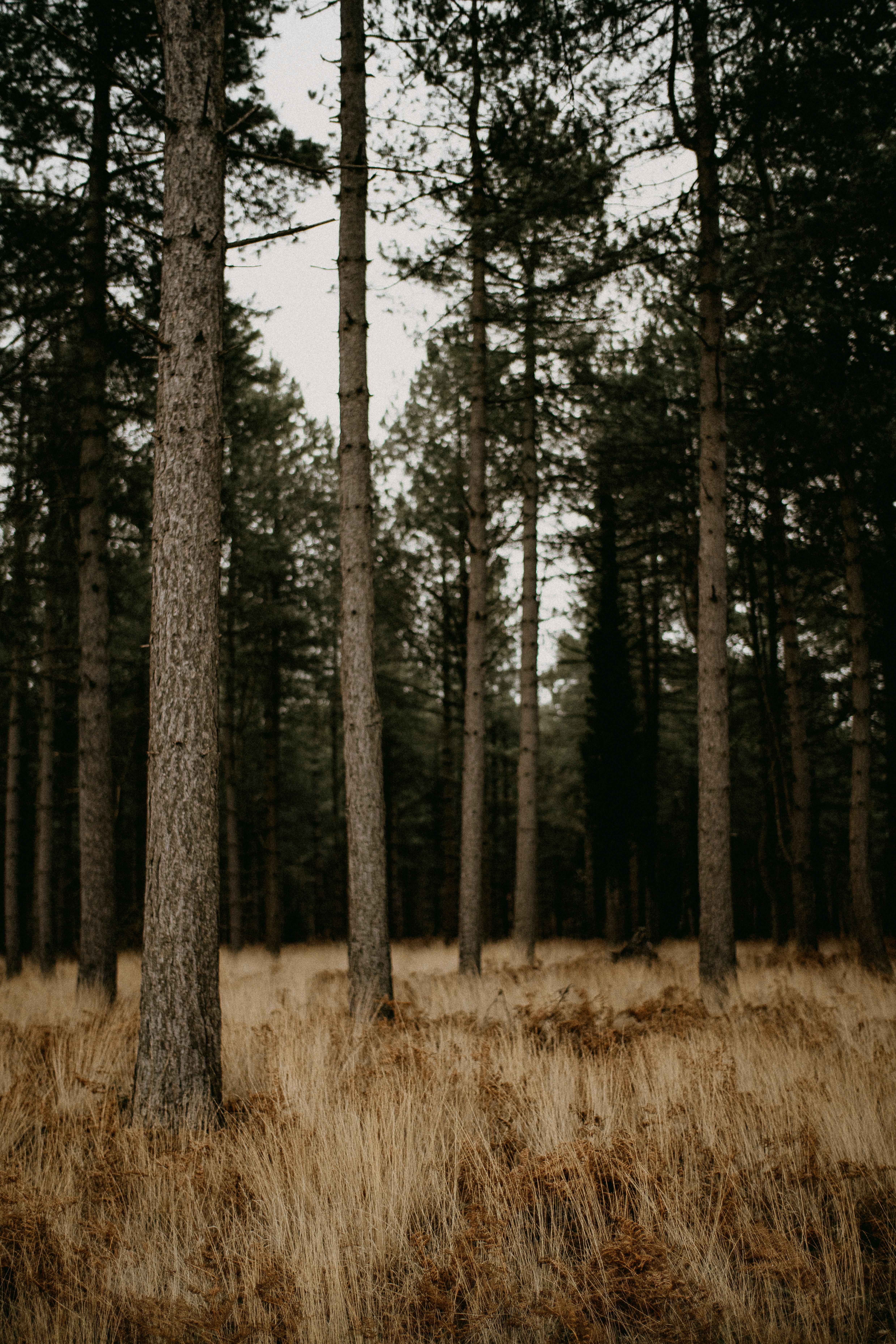 Photo by anniespratt