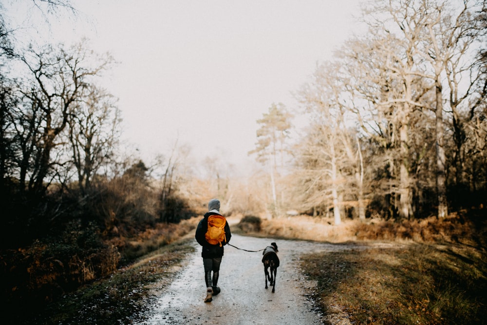 a person walking a dog on a path in the woods