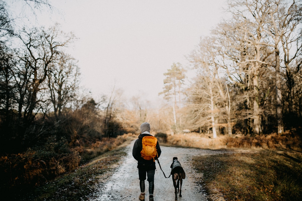 A person walking a dog down a dirt road