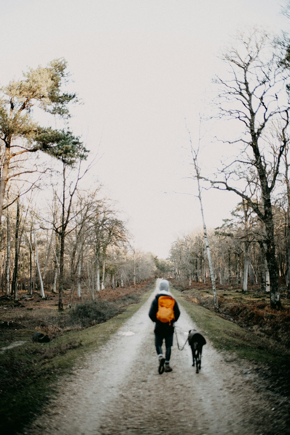 a person walking down a dirt road with a dog