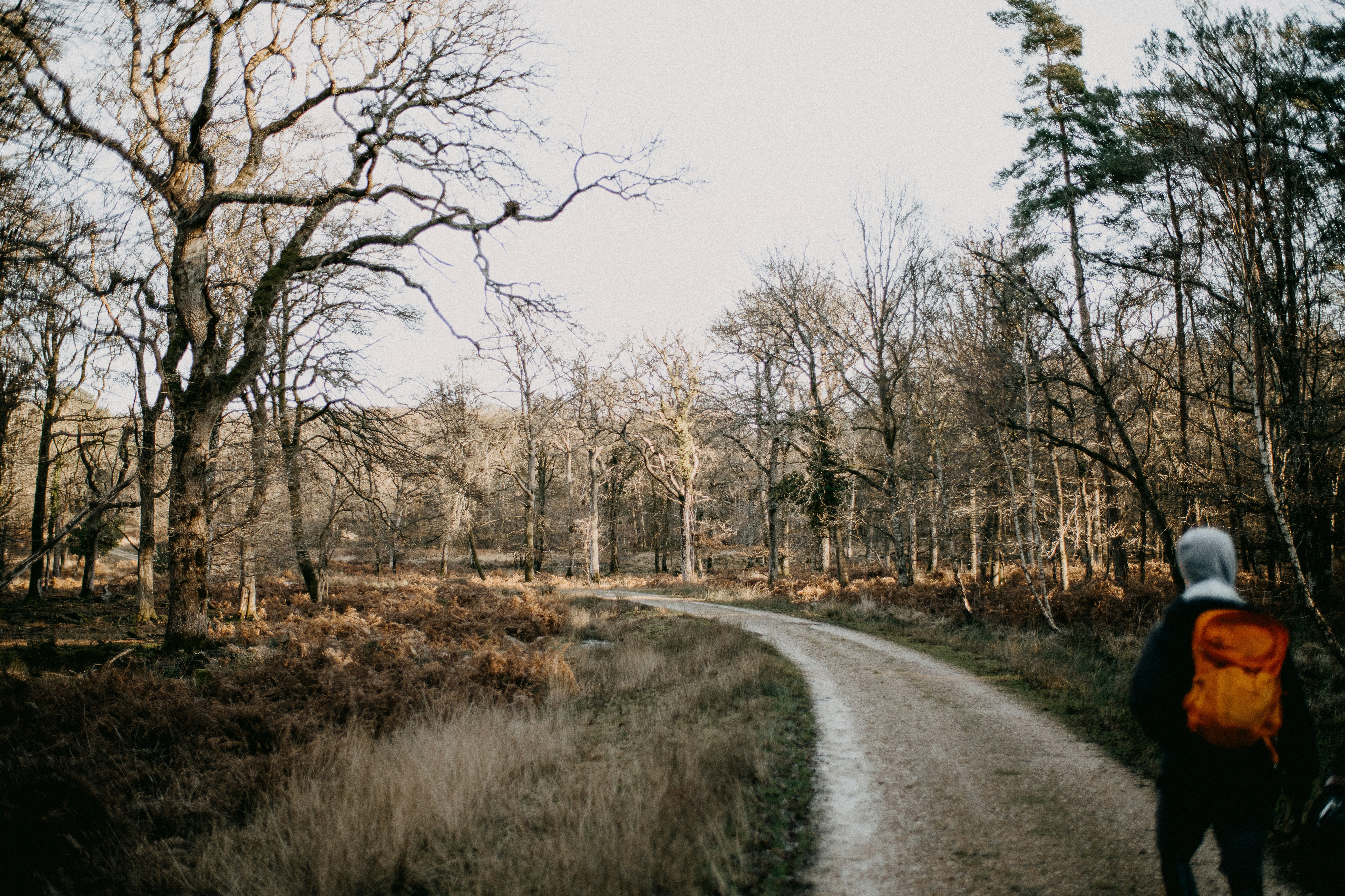 Photo by anniespratt