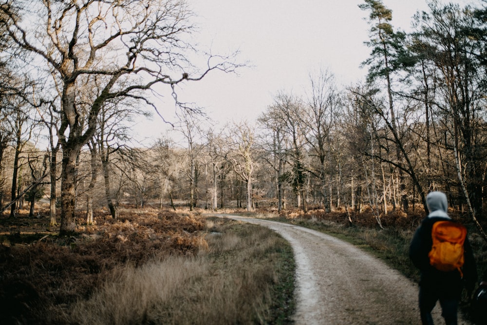 a person with a backpack walking down a path in the woods