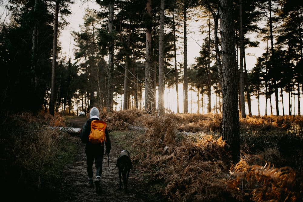 a person and a dog walking in the woods