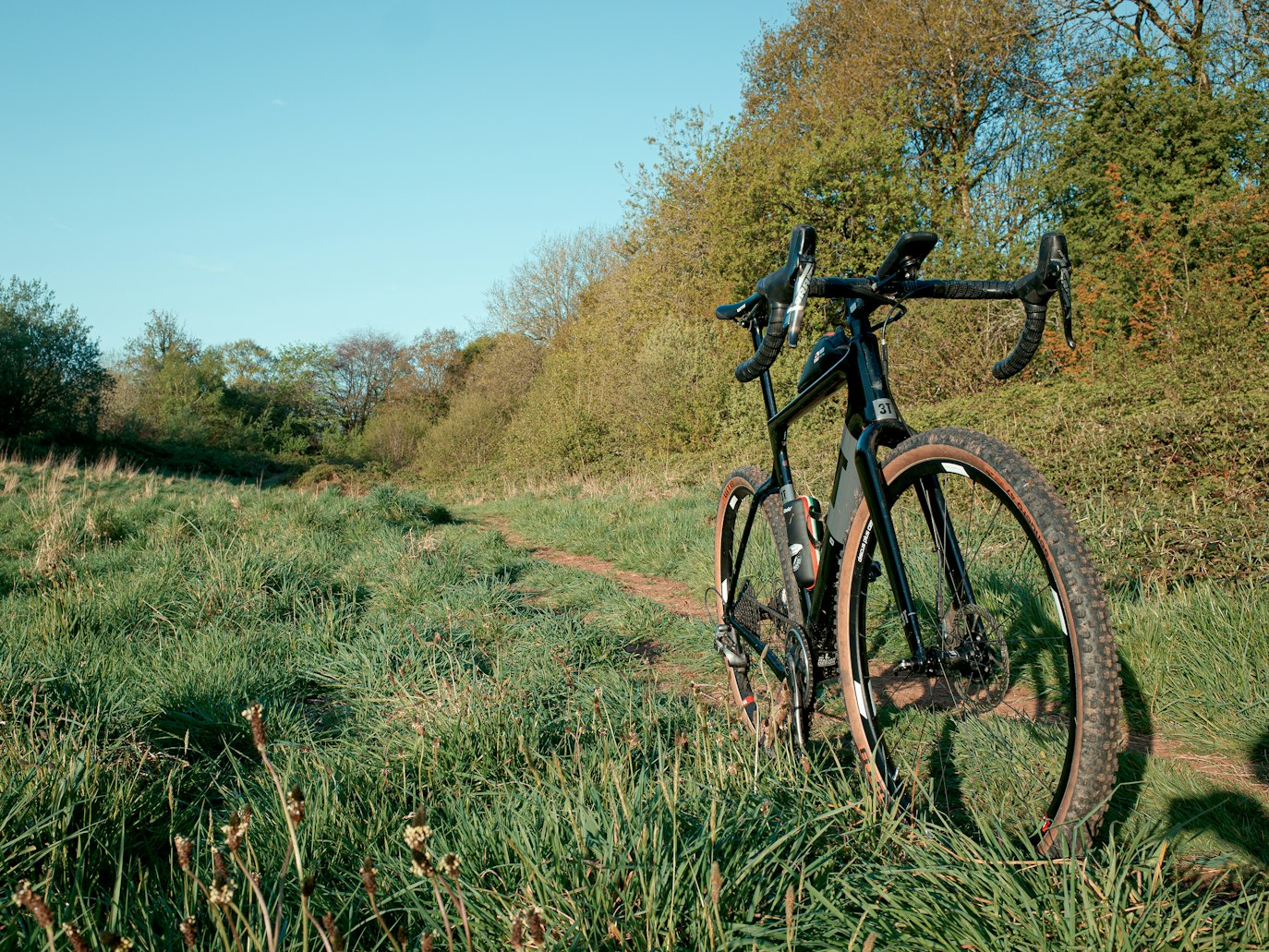 Modern gravel bike in a field