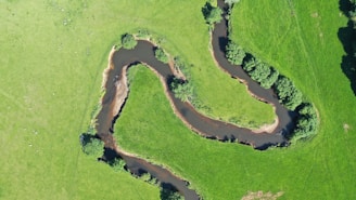 Aerial view of a winding river restoration project blending into the natural landscape.