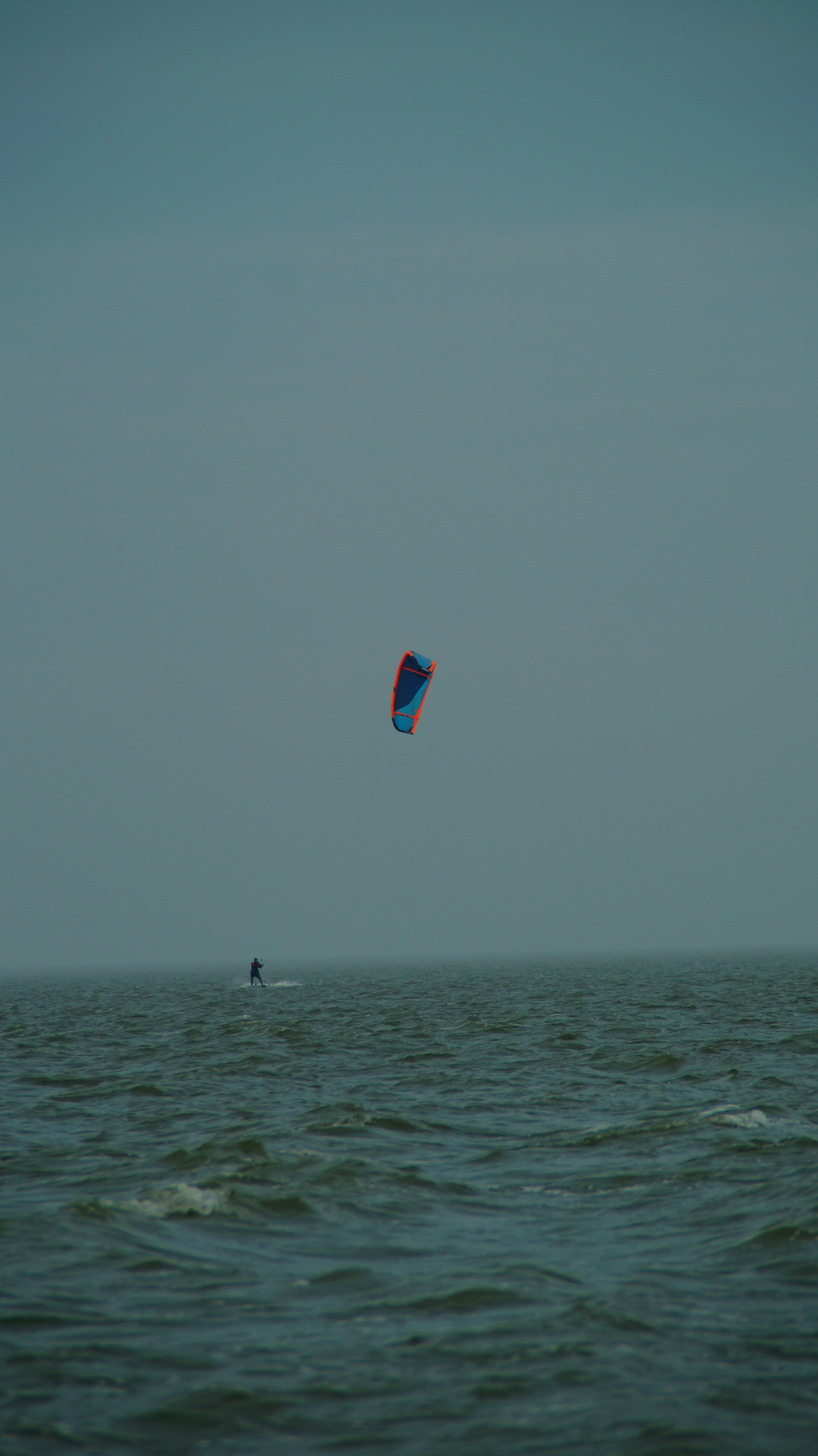 Photo by lunareehorst