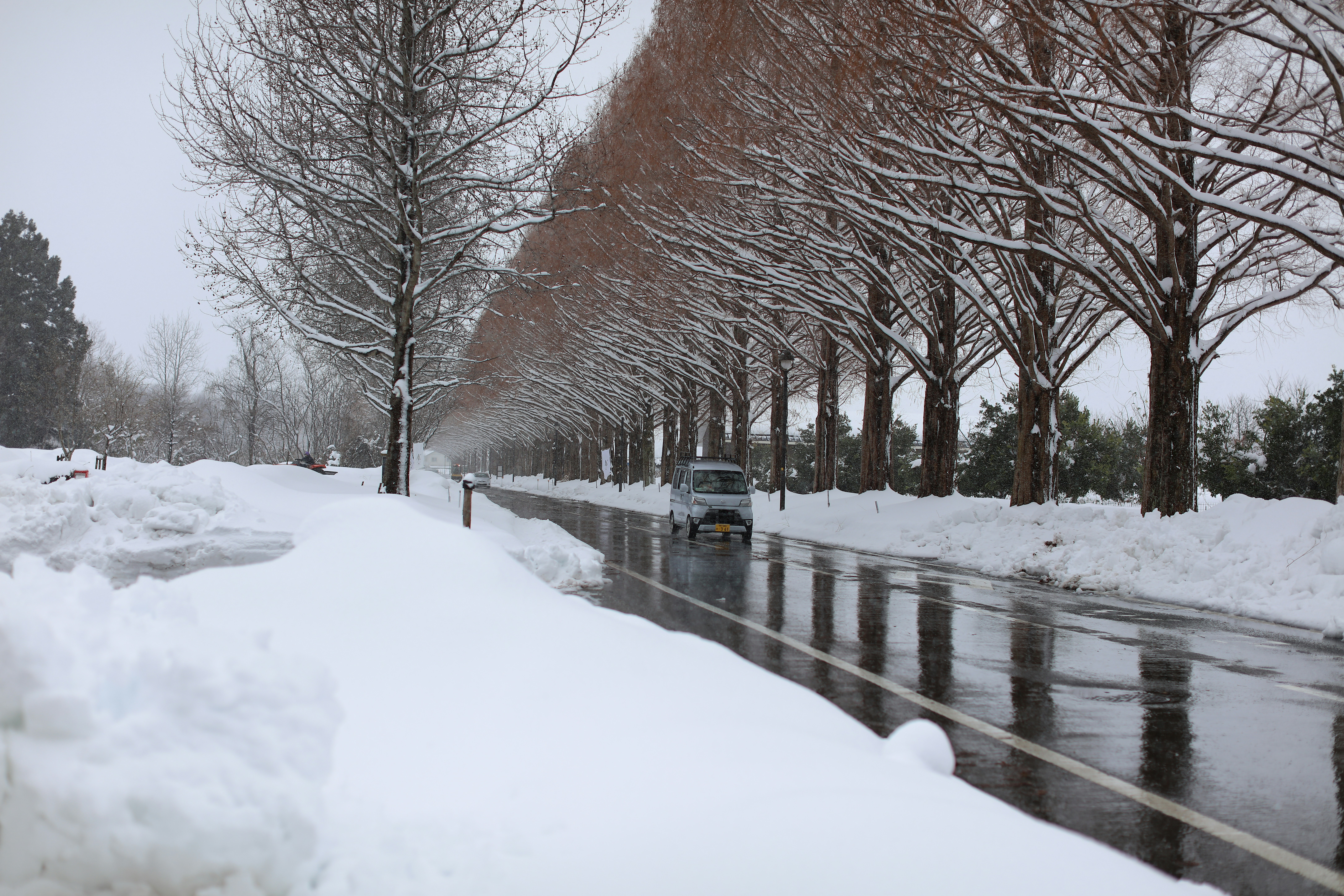 Photo by viendinh1995