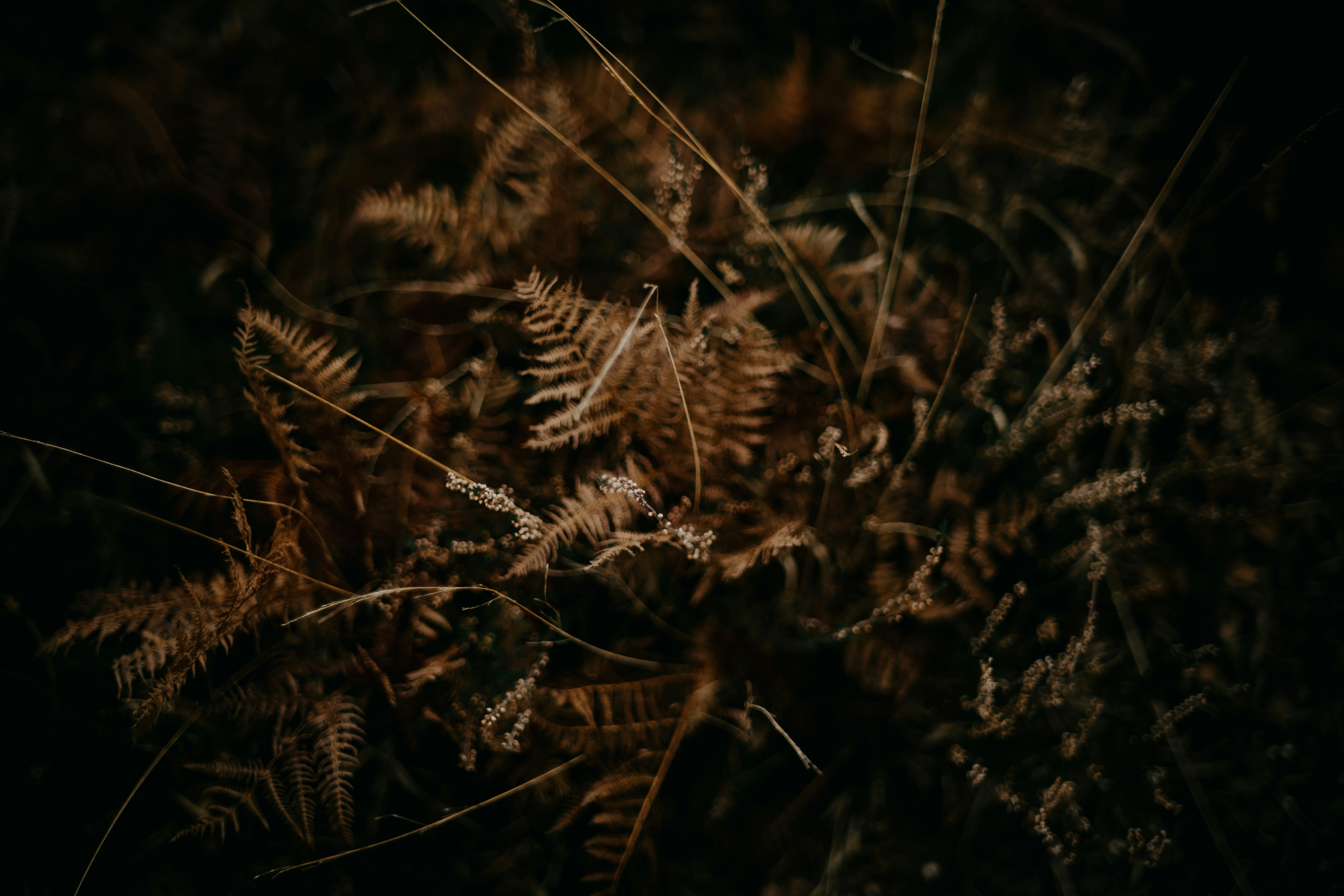 Photo by anniespratt