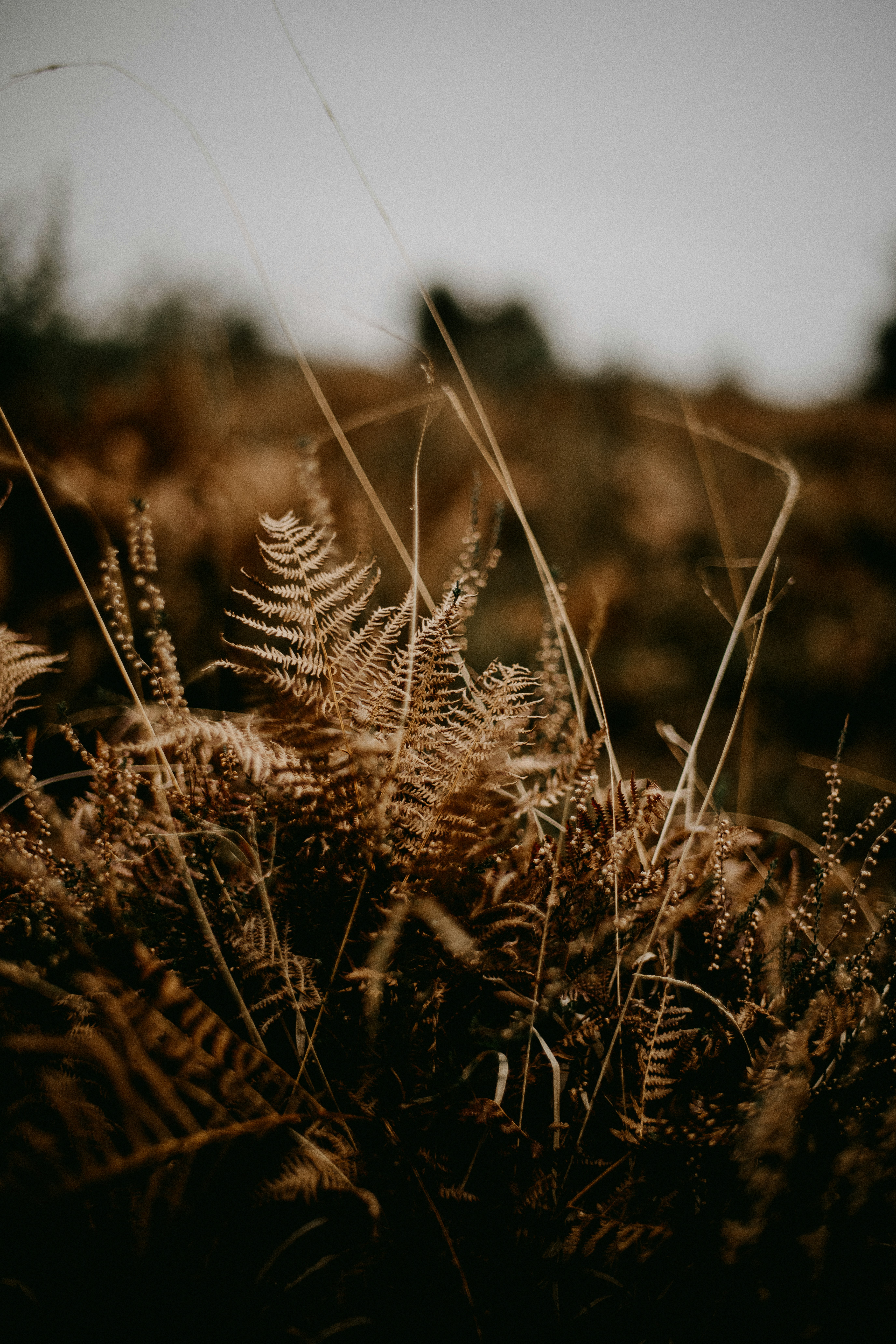 Photo by anniespratt