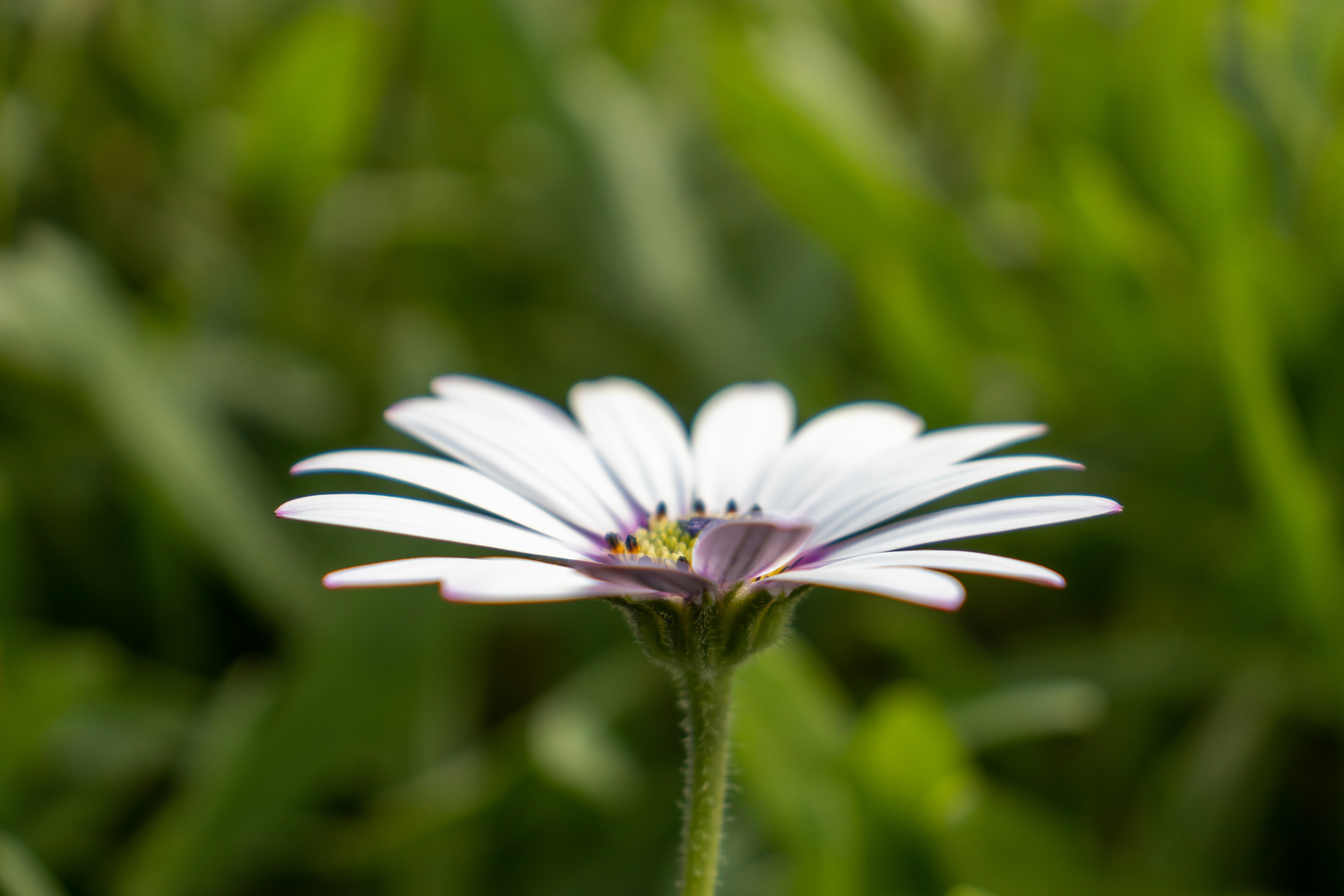 Photo by pokornymichal