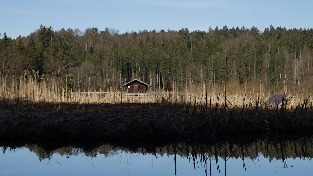 a small cabin in the middle of a forest