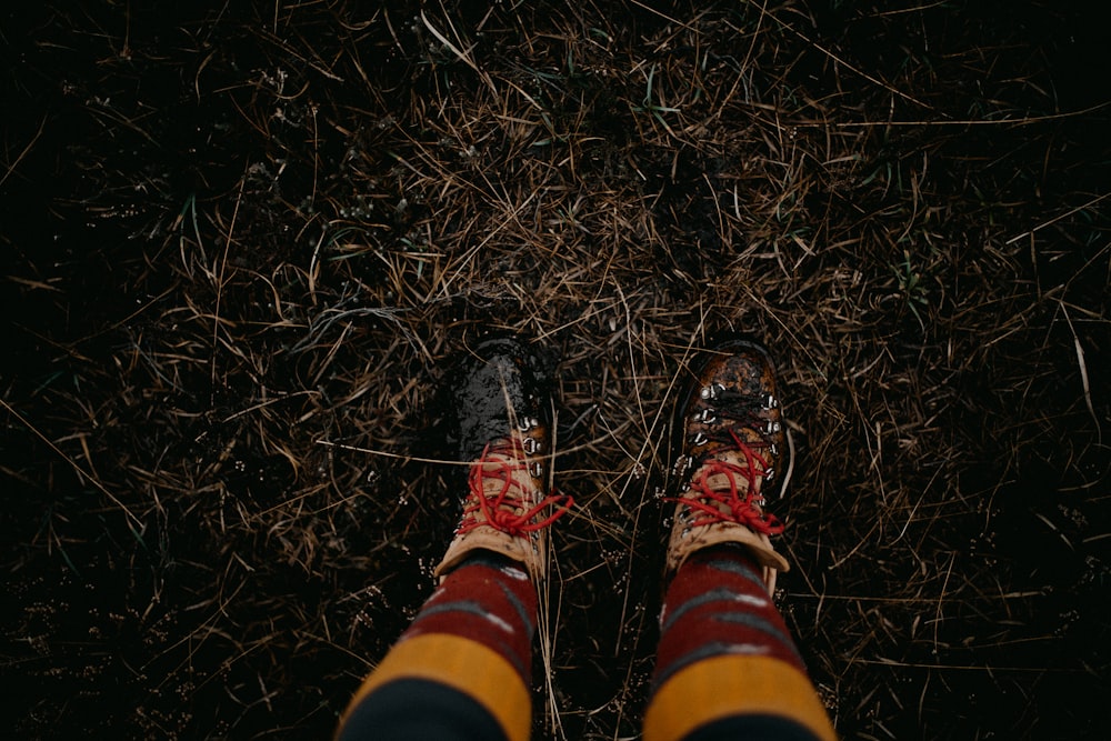 a person standing in the middle of a field