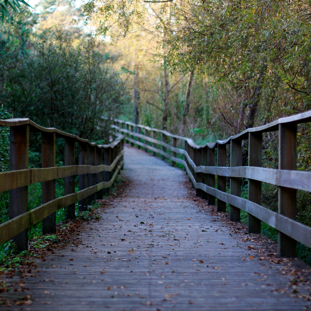 a wooden walkway in a wooded area with trees