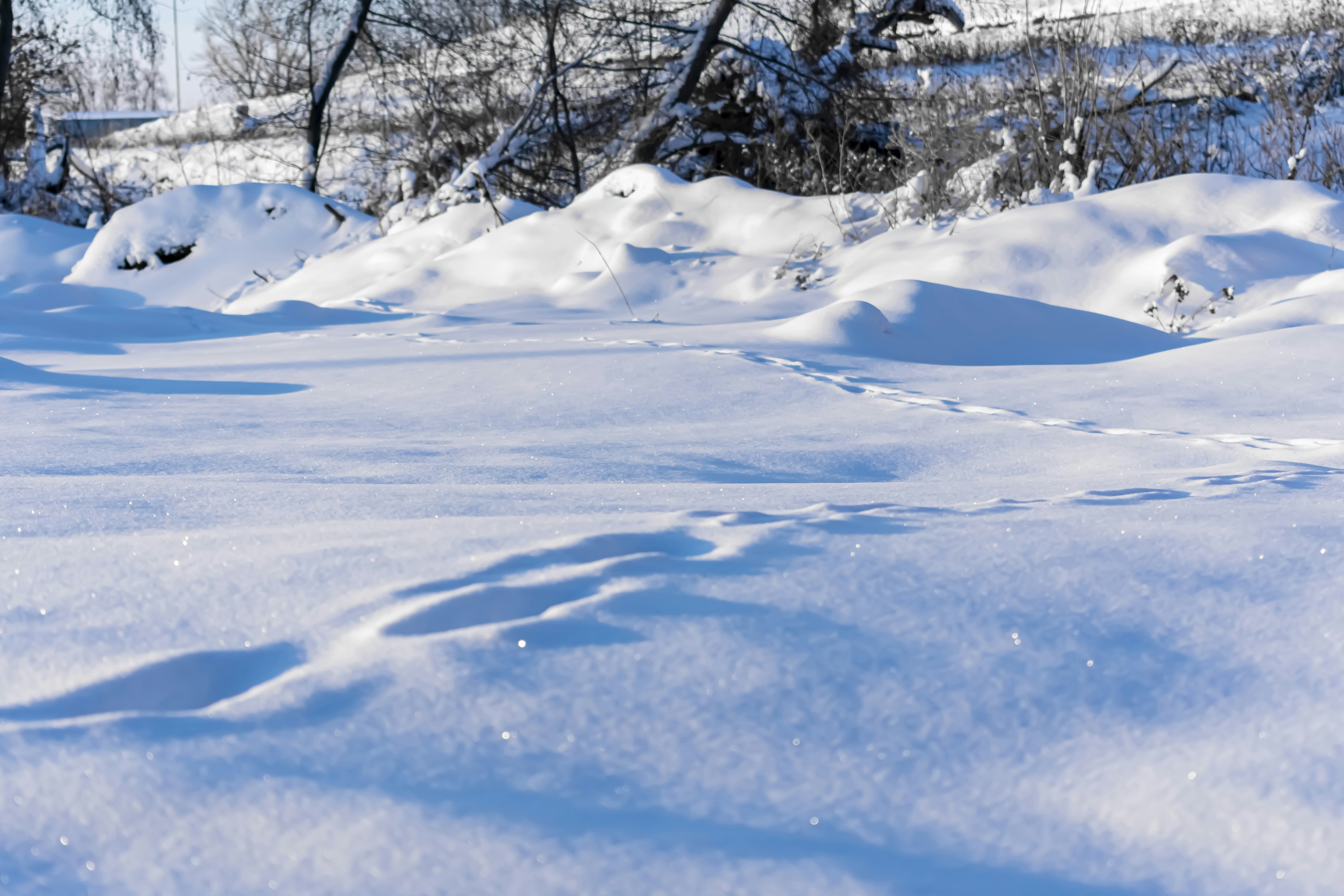 Photo by therealslkhv