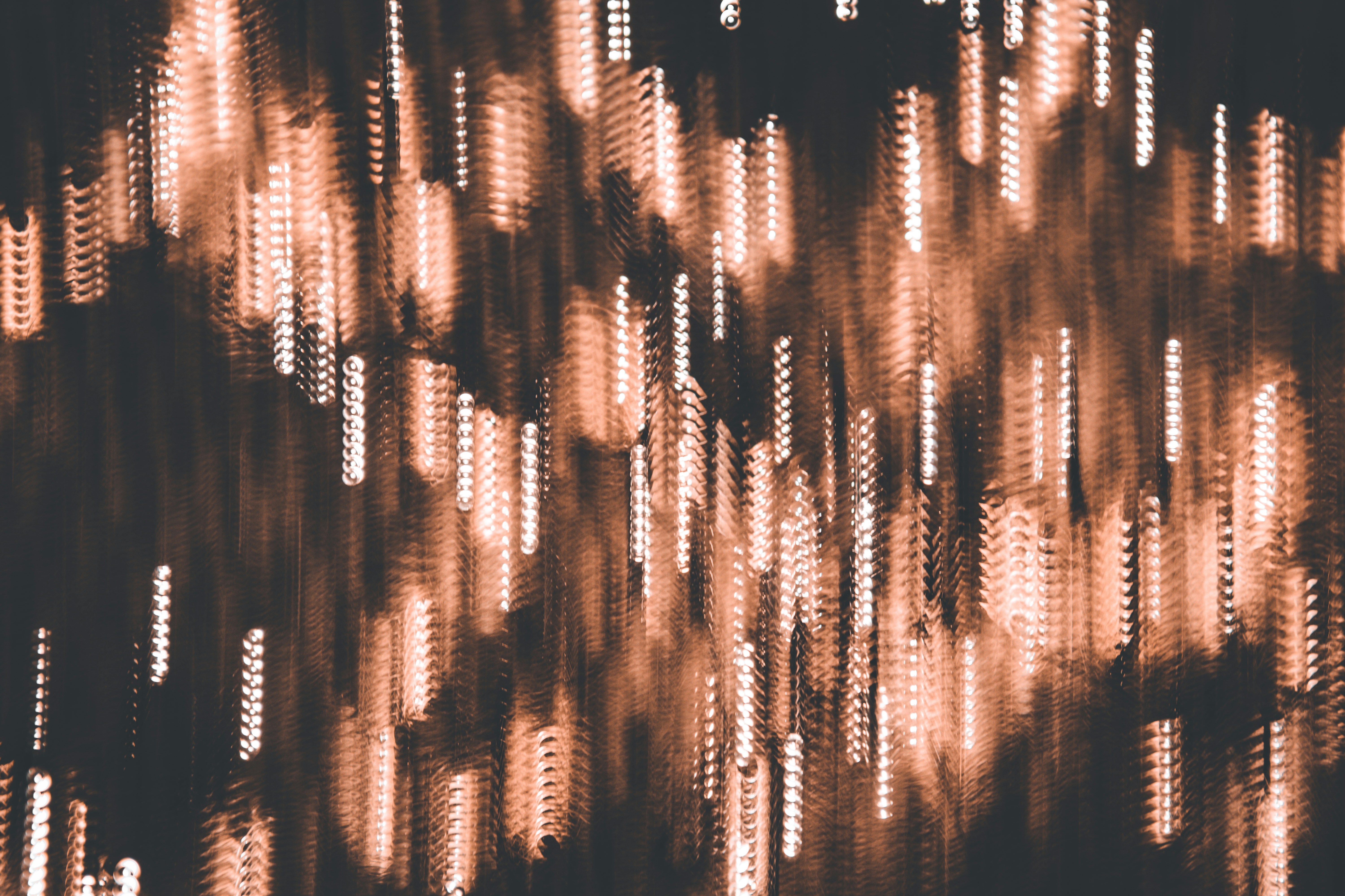 Photo by elliottmason