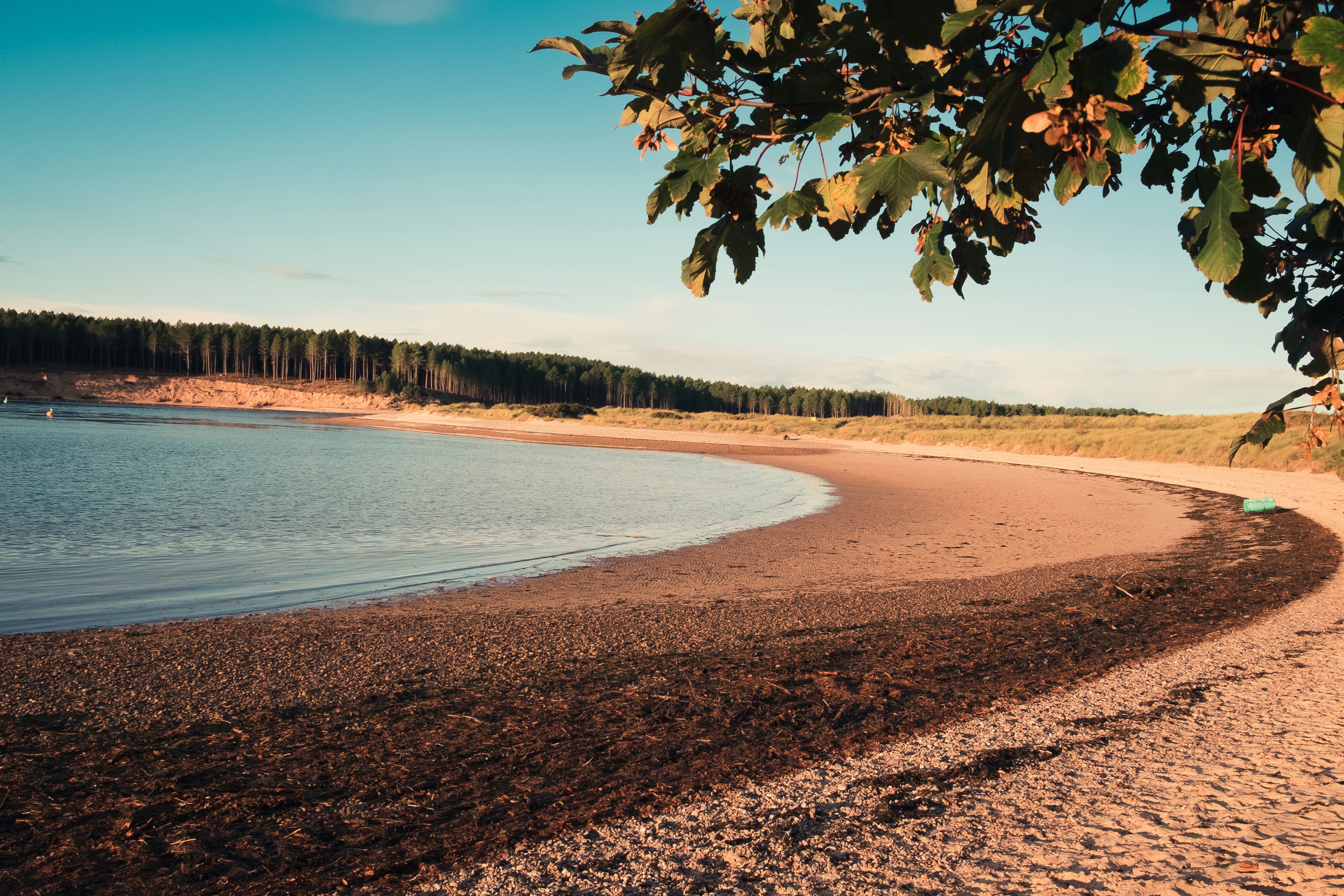 Incredible beach in Findhorn, Scotland wrapping around the bay.