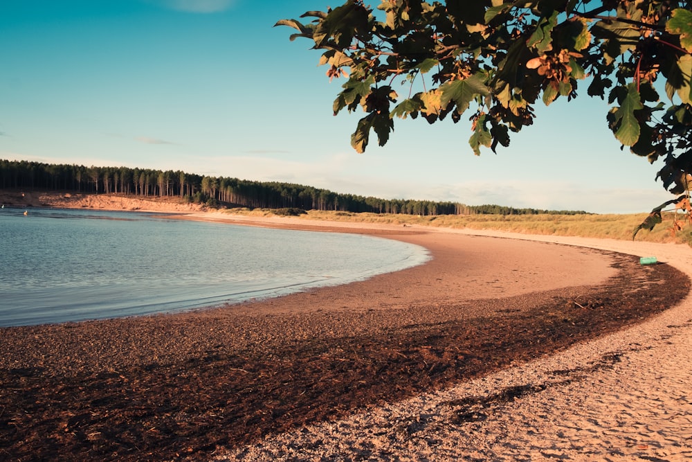 une plage de sable avec un plan d’eau en arrière-plan