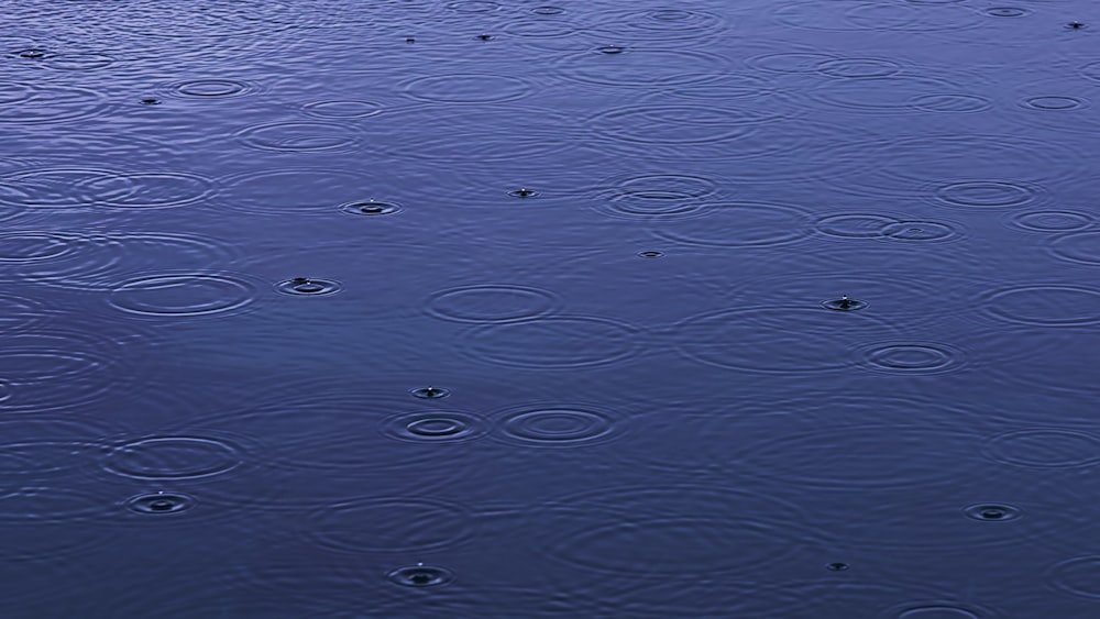 a large body of water filled with lots of water