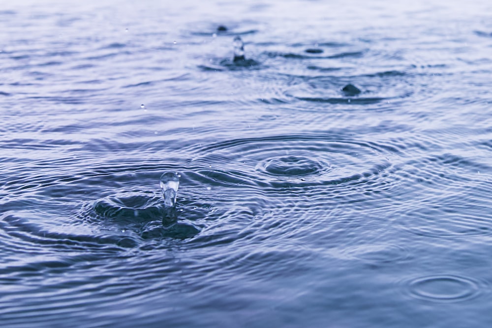 a close up of a water drop on the surface of a body of water