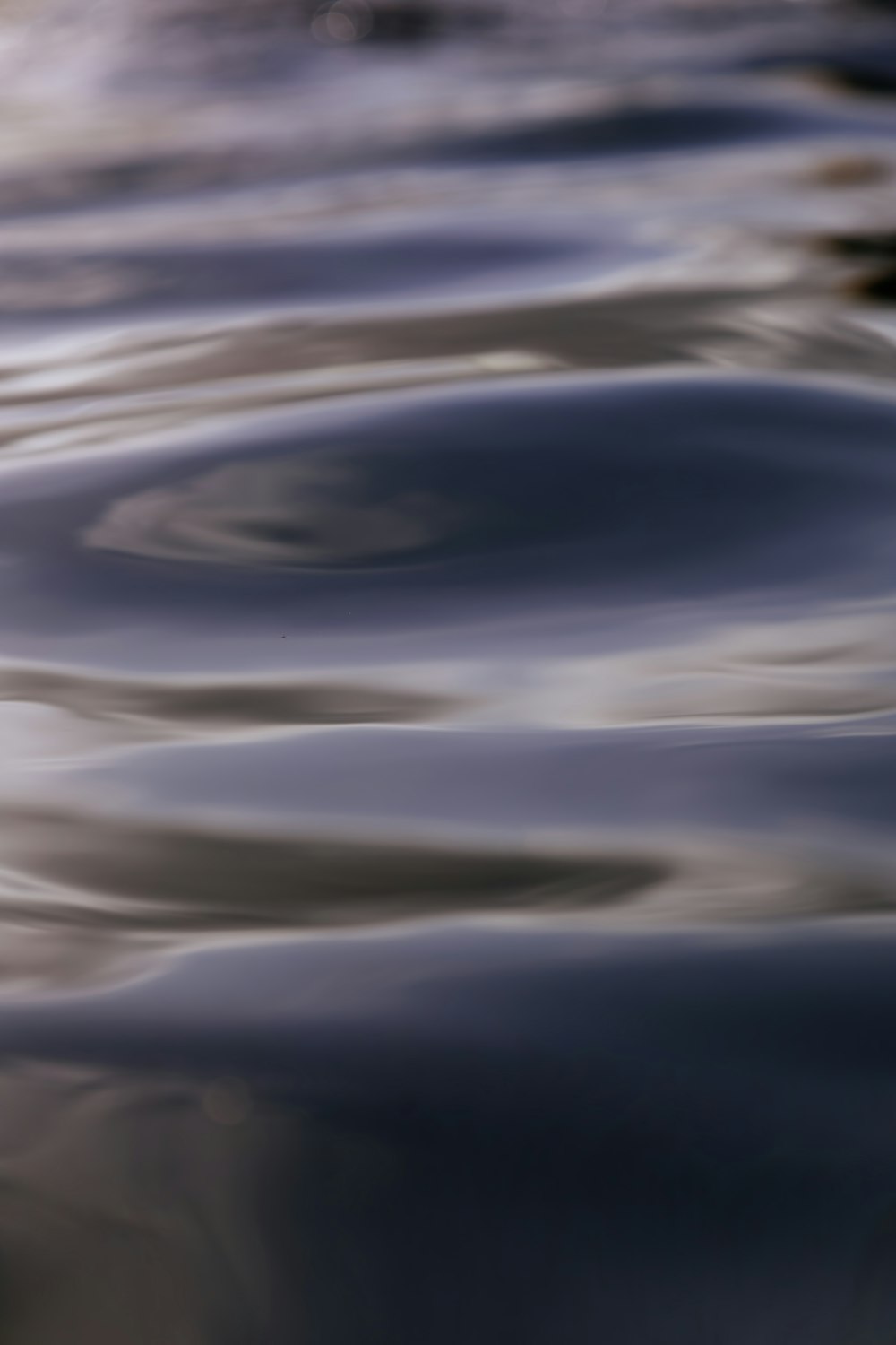 a blurry photo of a bird floating in the water