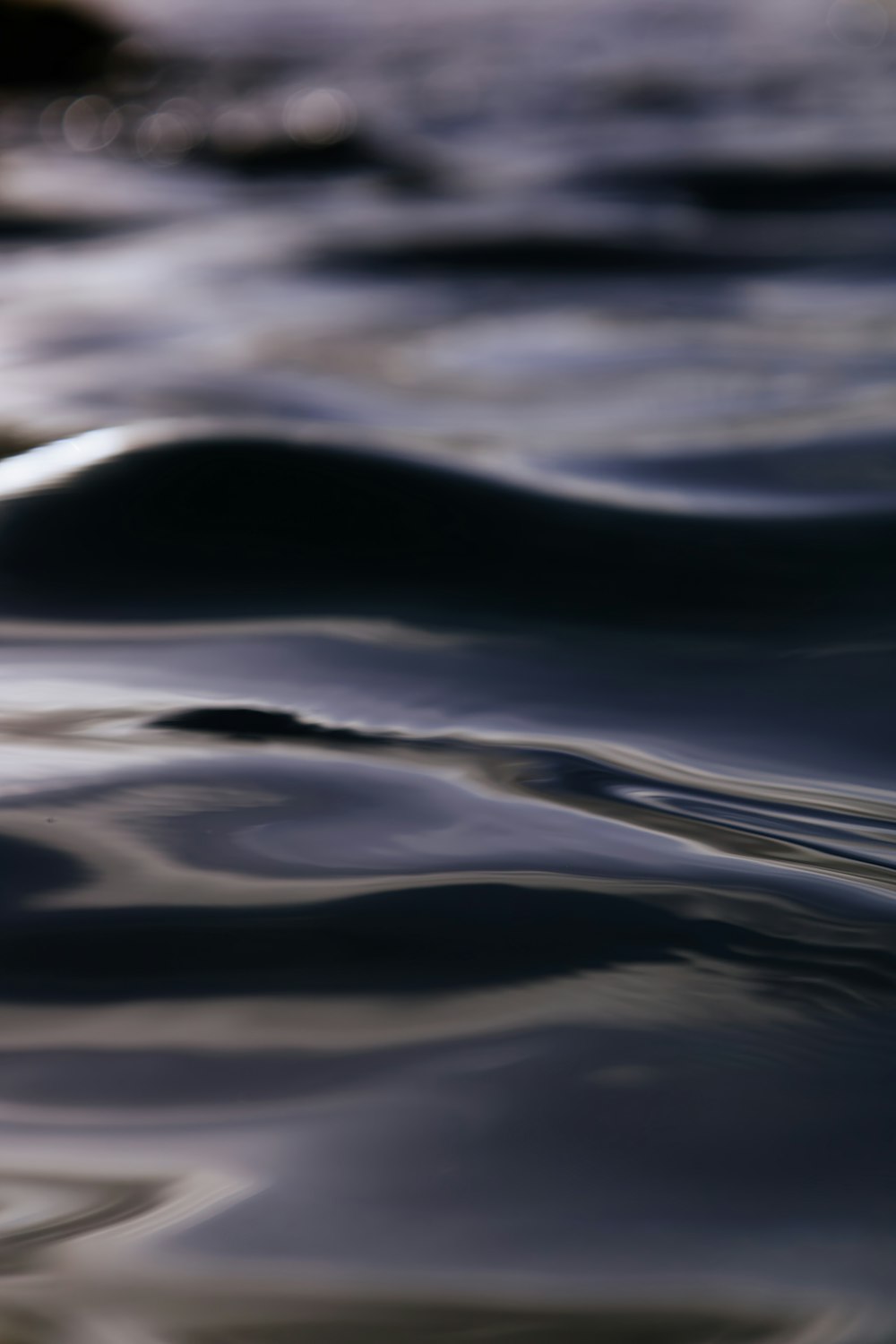 a blurry photo of a bird floating in the water