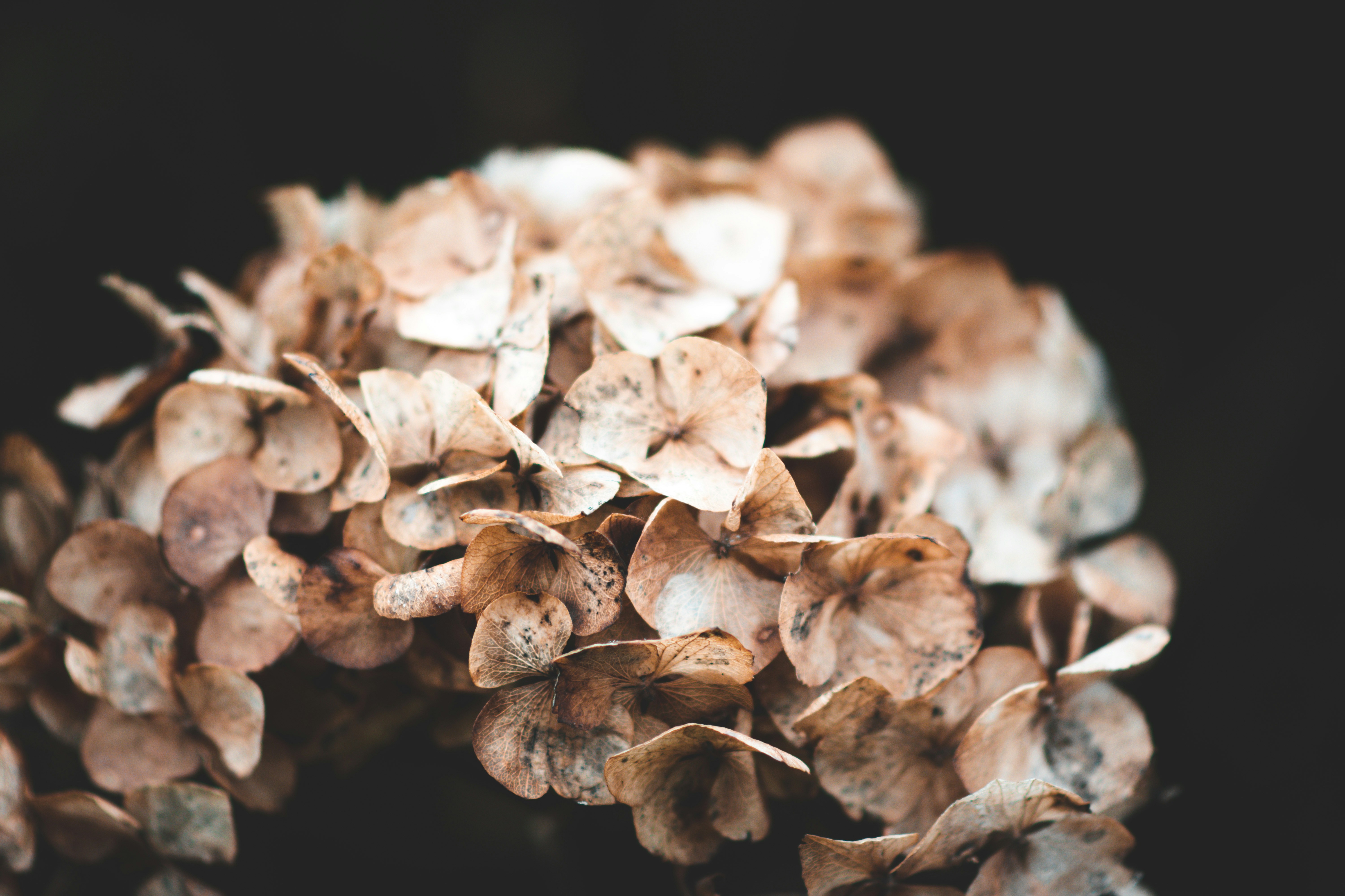 Photo by elliottmason