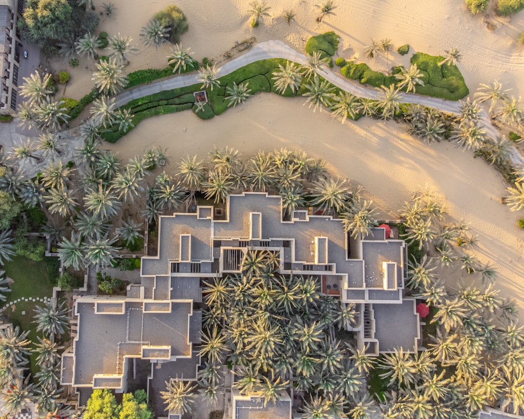 an aerial view of a house surrounded by palm trees,
