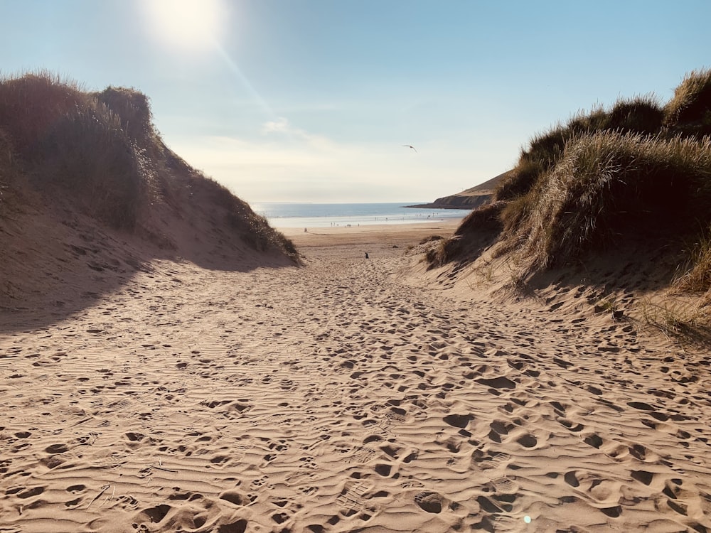 a sandy beach with footprints in the sand