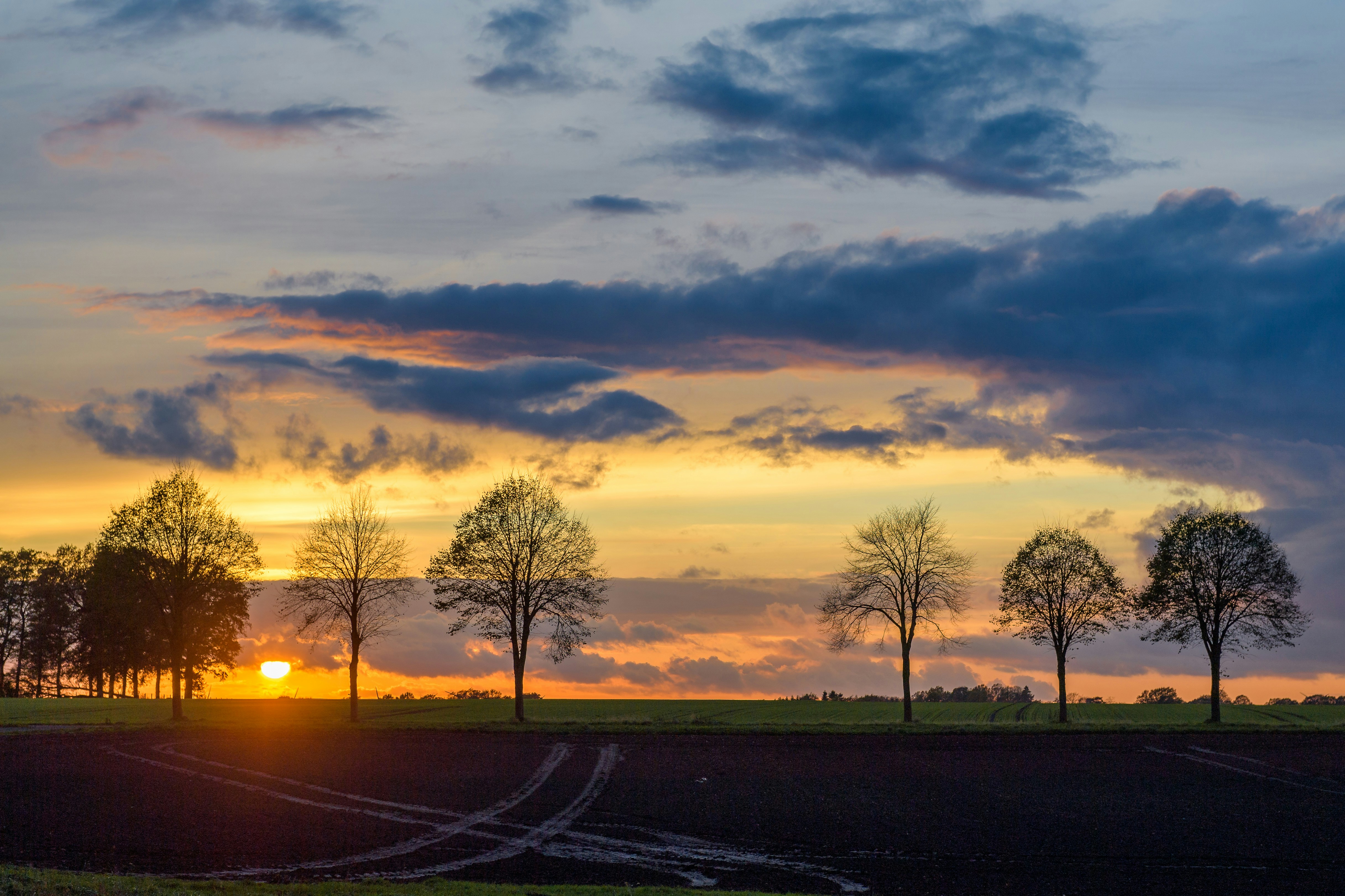 Photo by bmeyendriesch