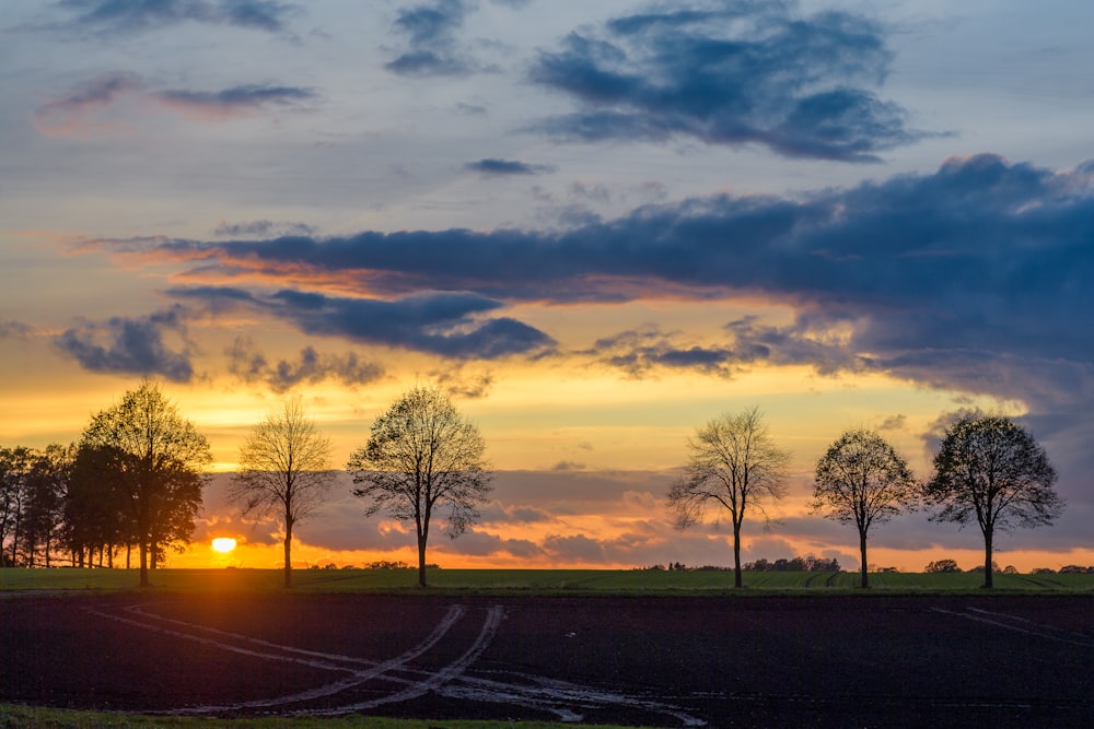 the sun is setting over a field with trees