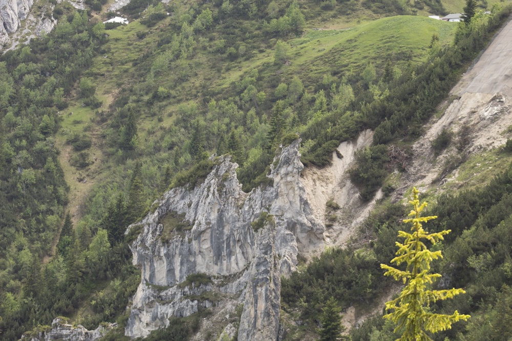 a mountain side with trees and a road