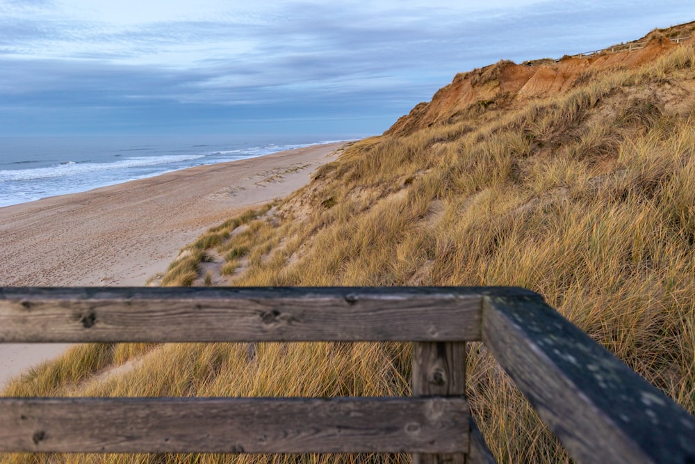 eine Holzbank auf einem Sandstrand